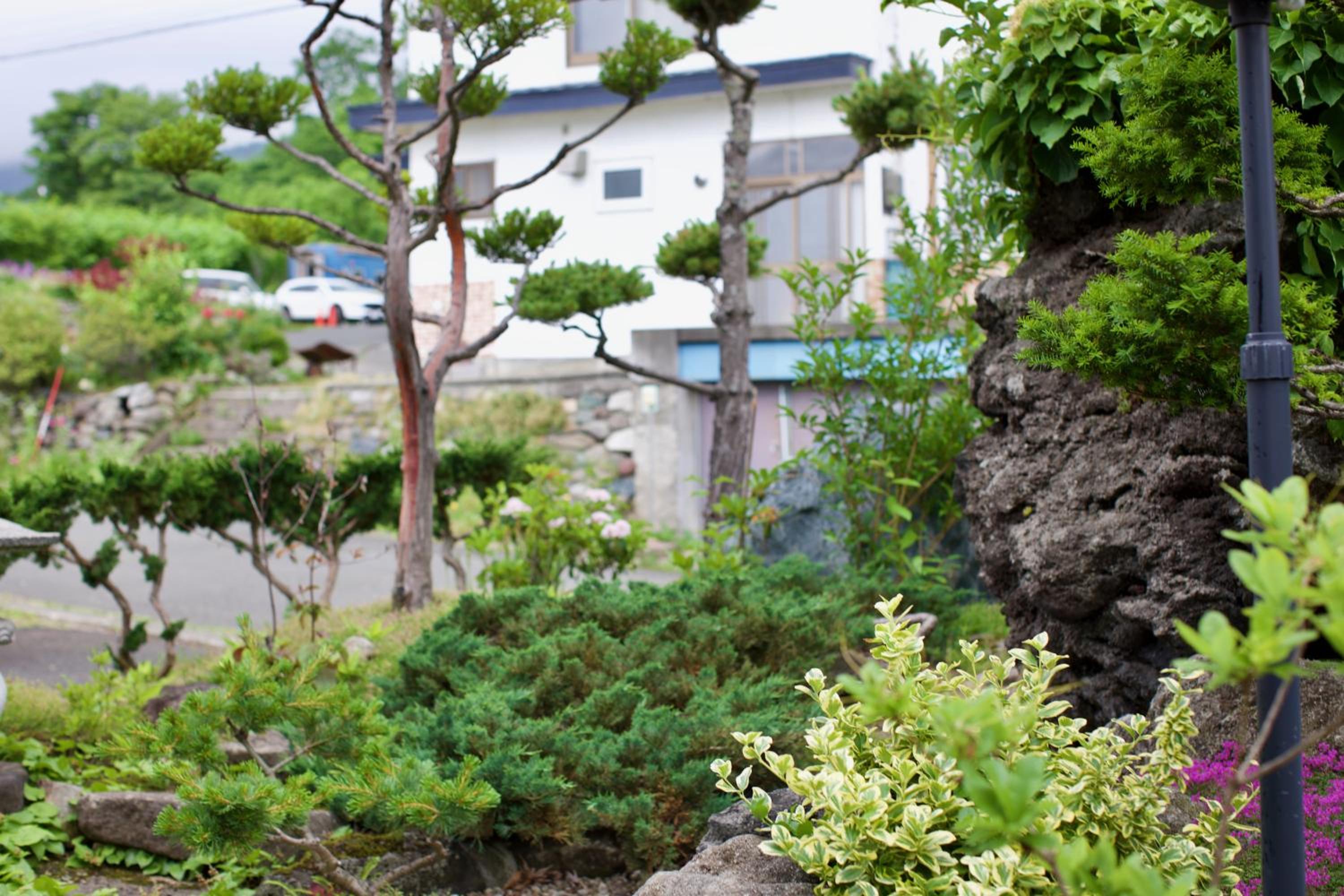 Photo 6