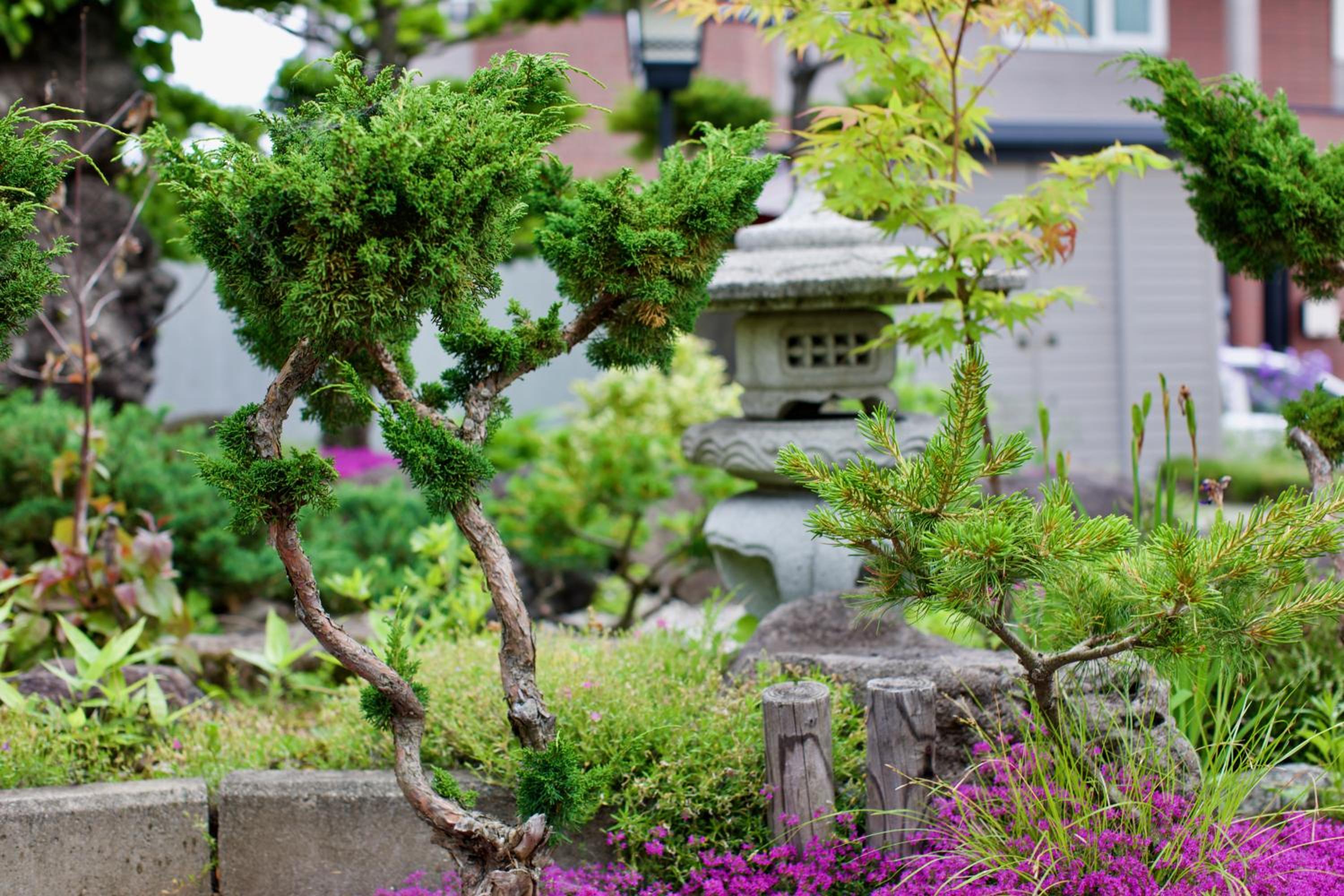 HDO Furano Garden House view 5