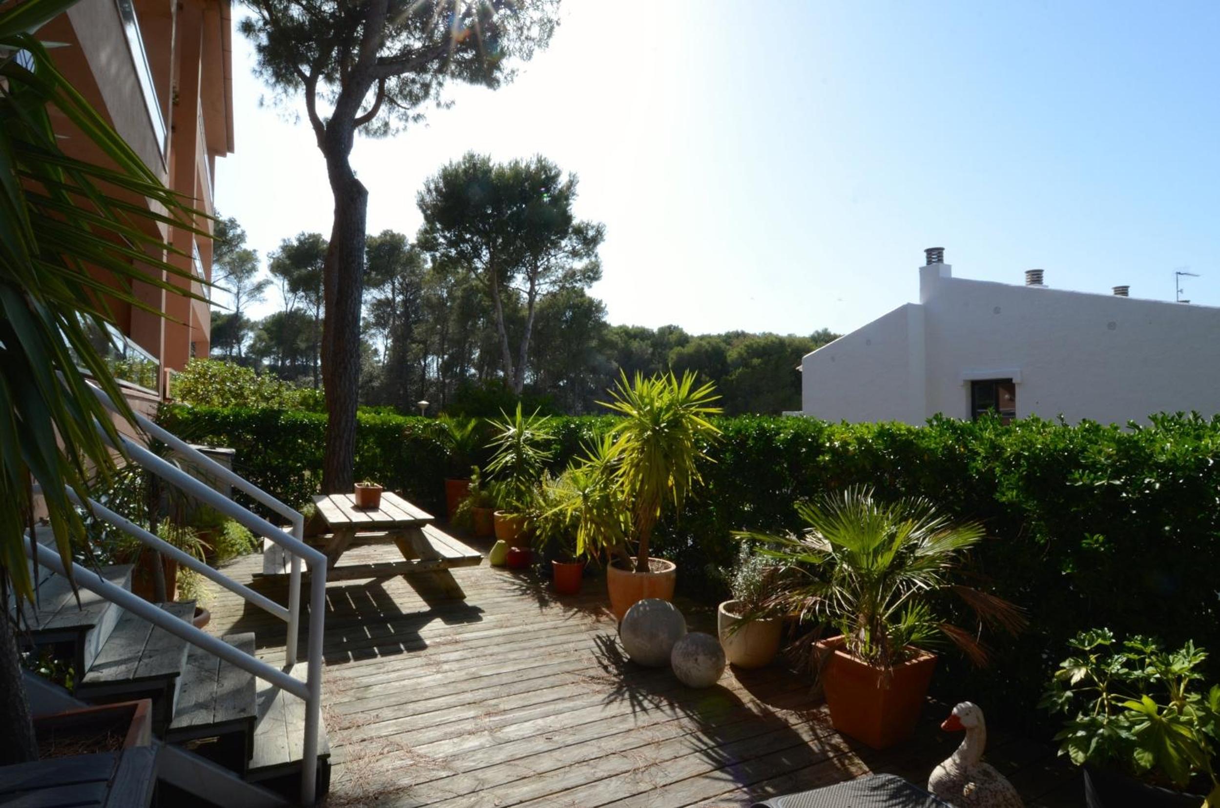 Puig Sa Guilla 1C B2 photo 3