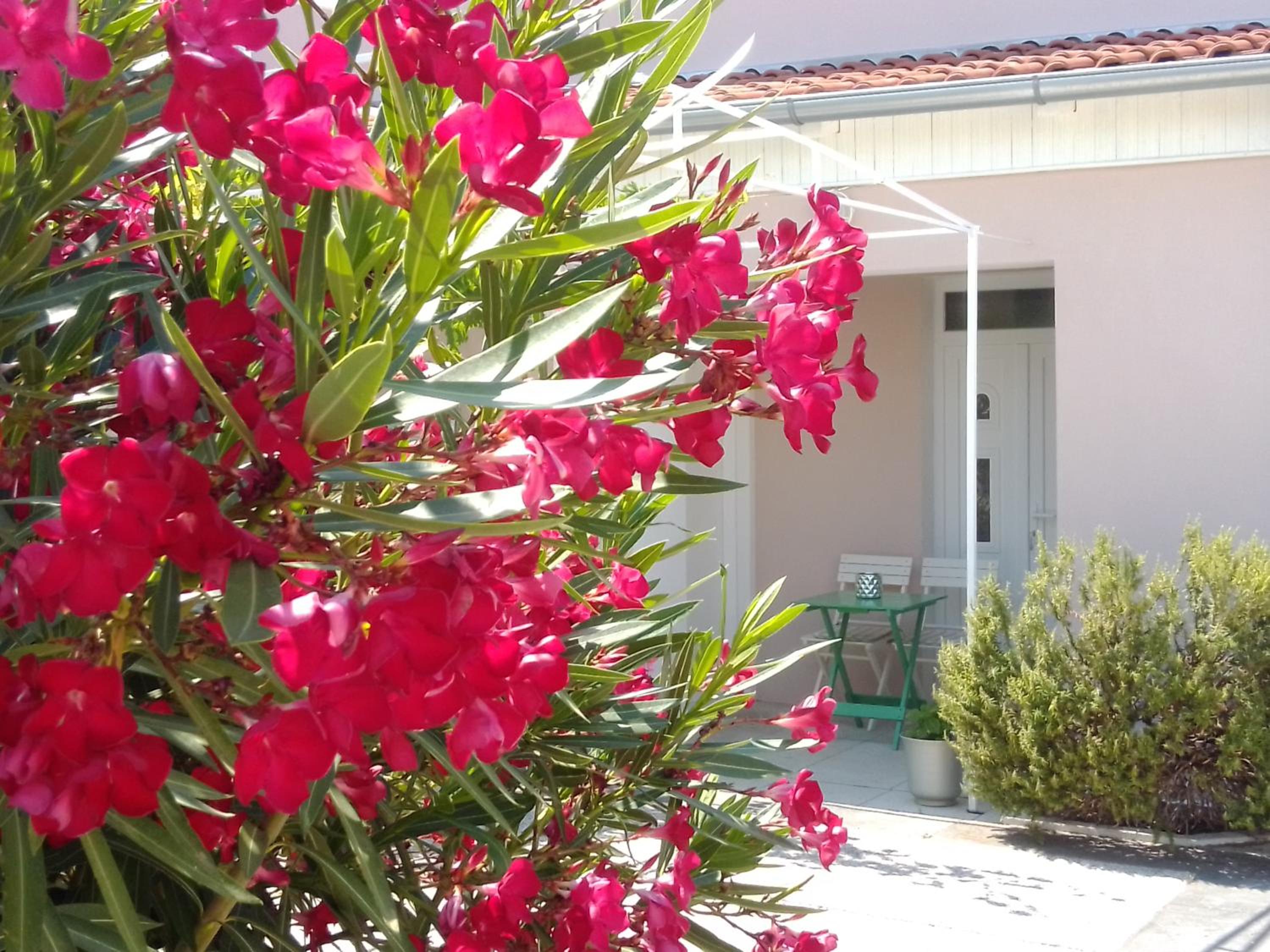 Apartmani Bruna