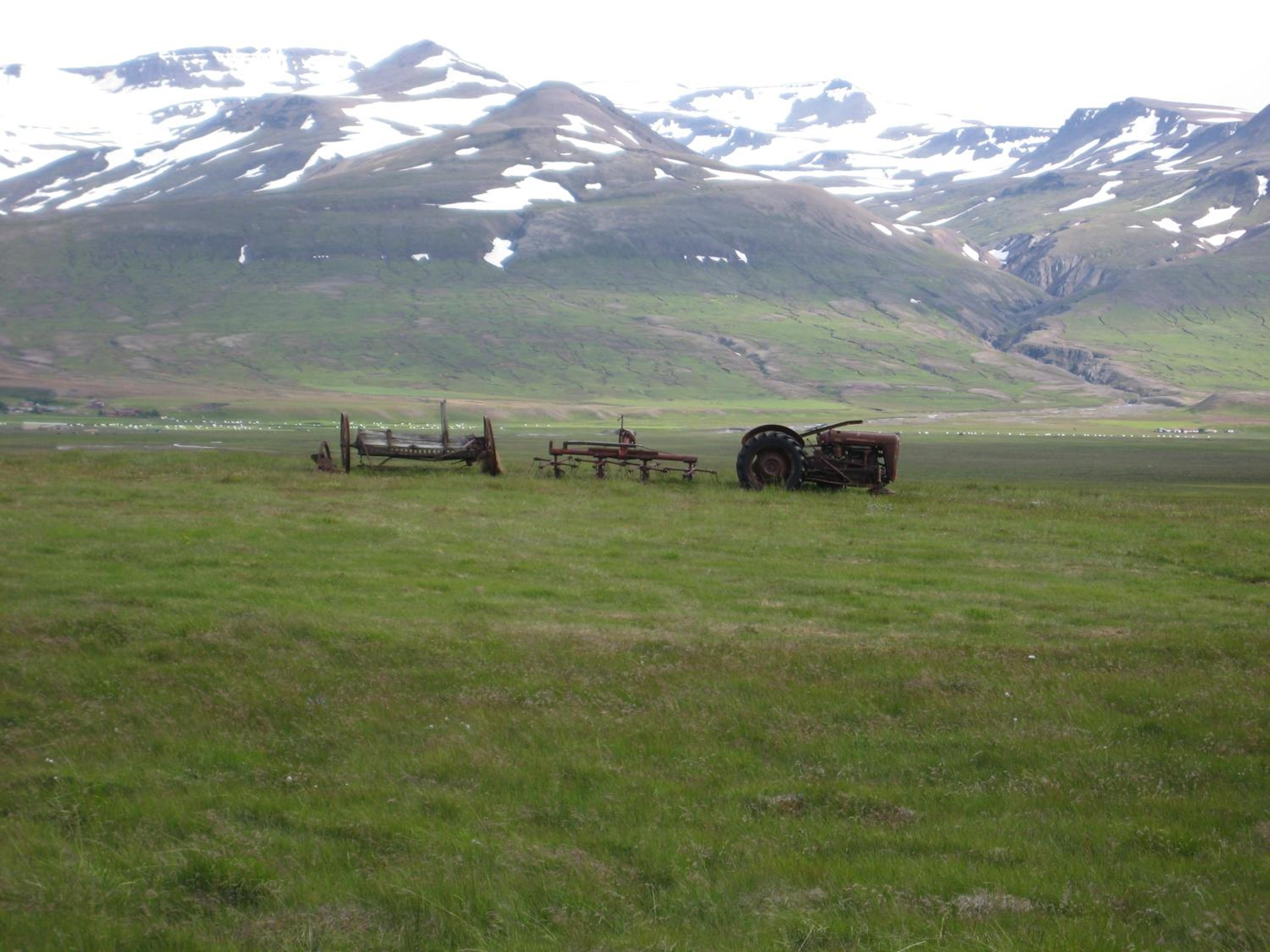Photo 35