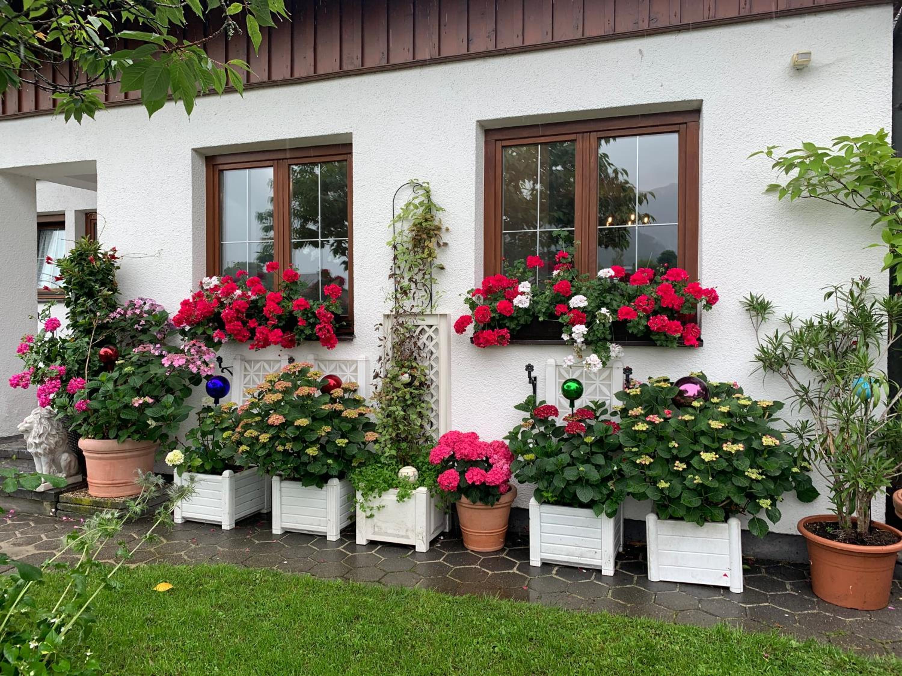 Haus Belli