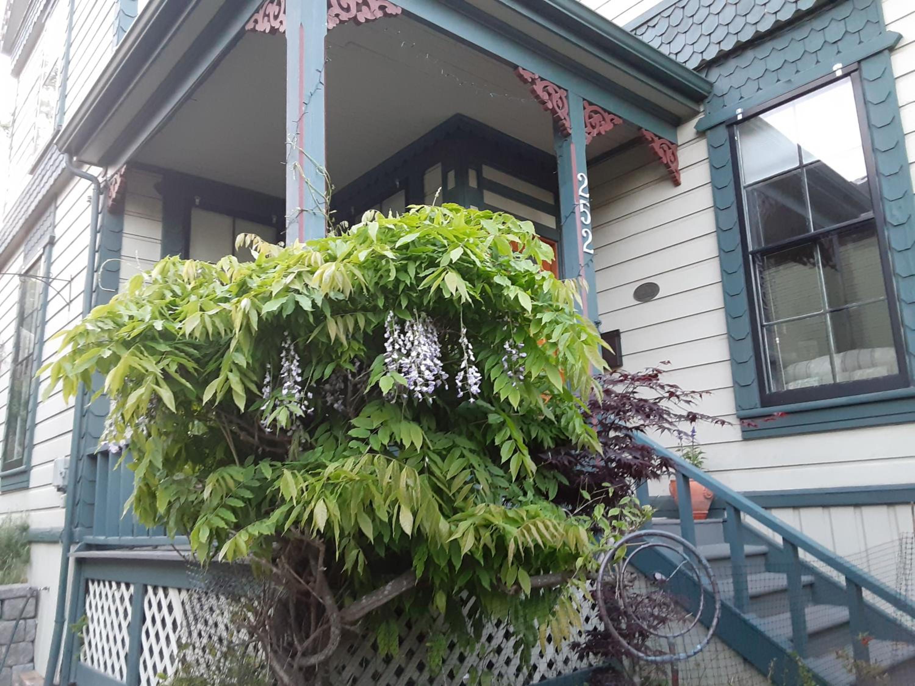 Sea Birds Cottage