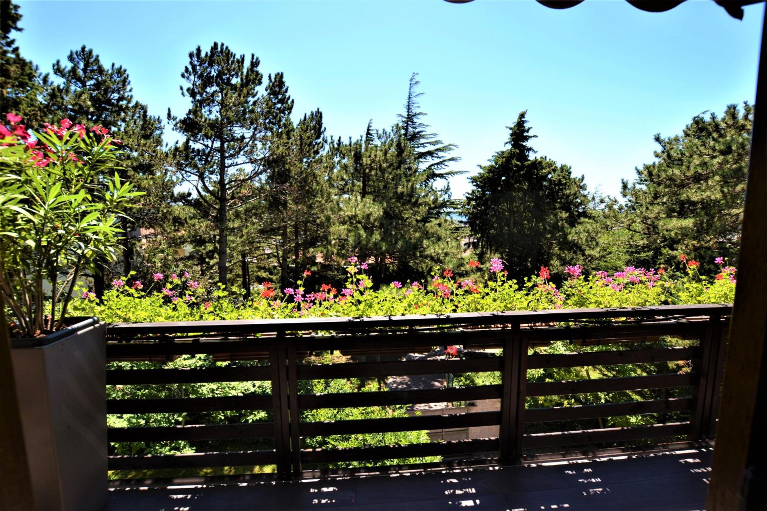 Triestè59 B&B