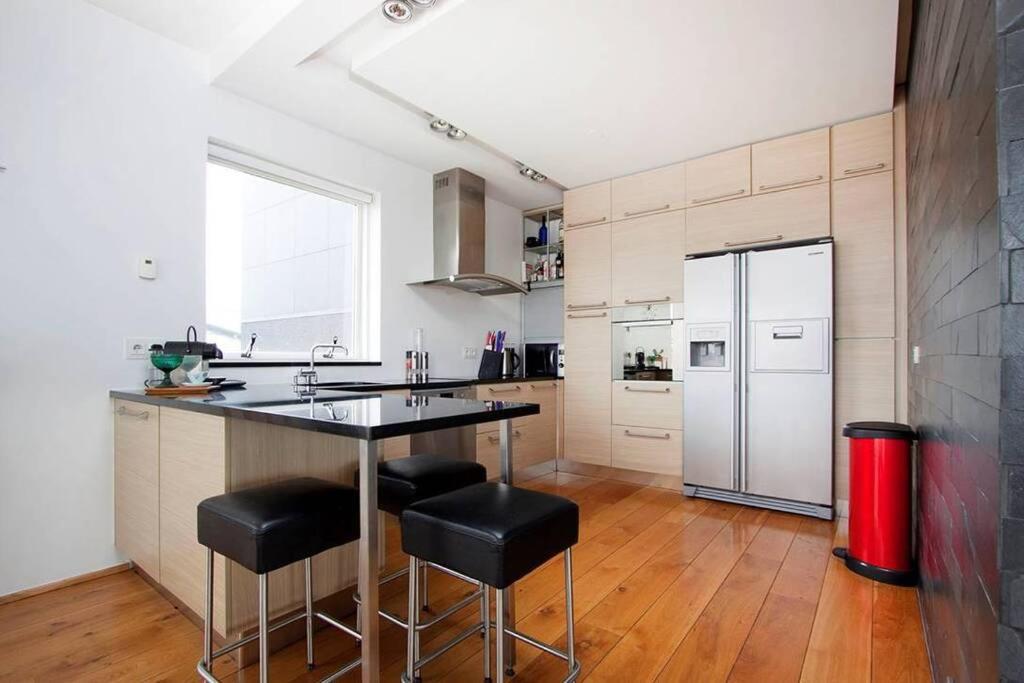 Sunny and Spacious Luxury House view 5