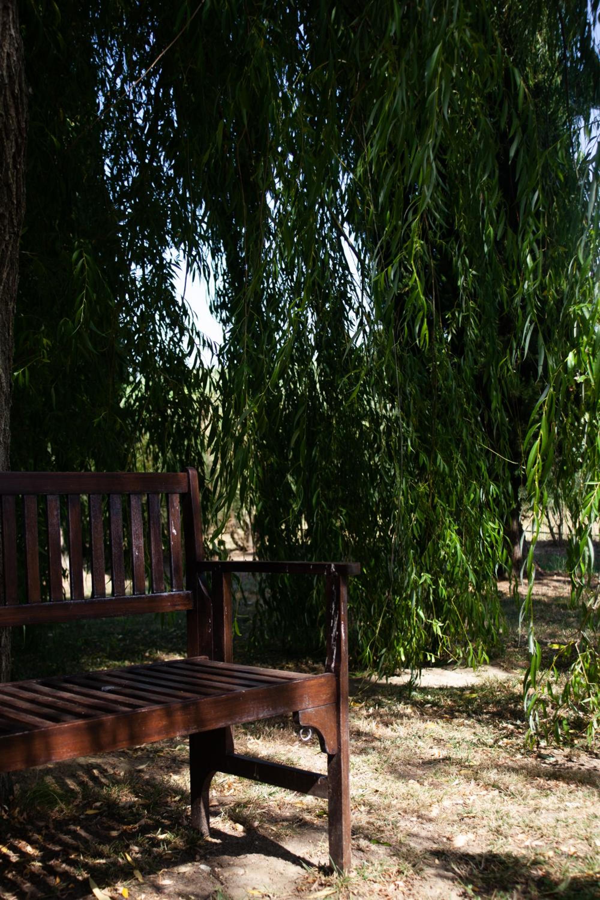 Photo 43