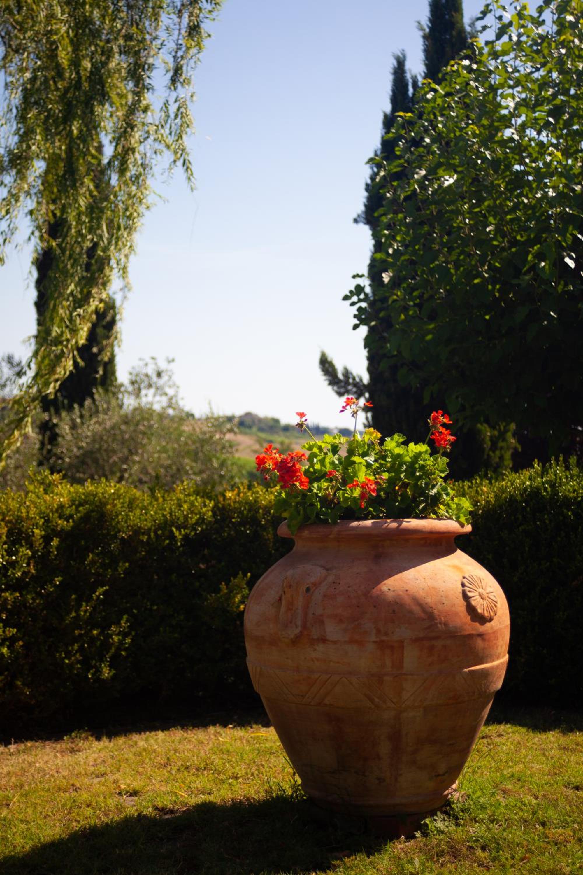 Photo 40