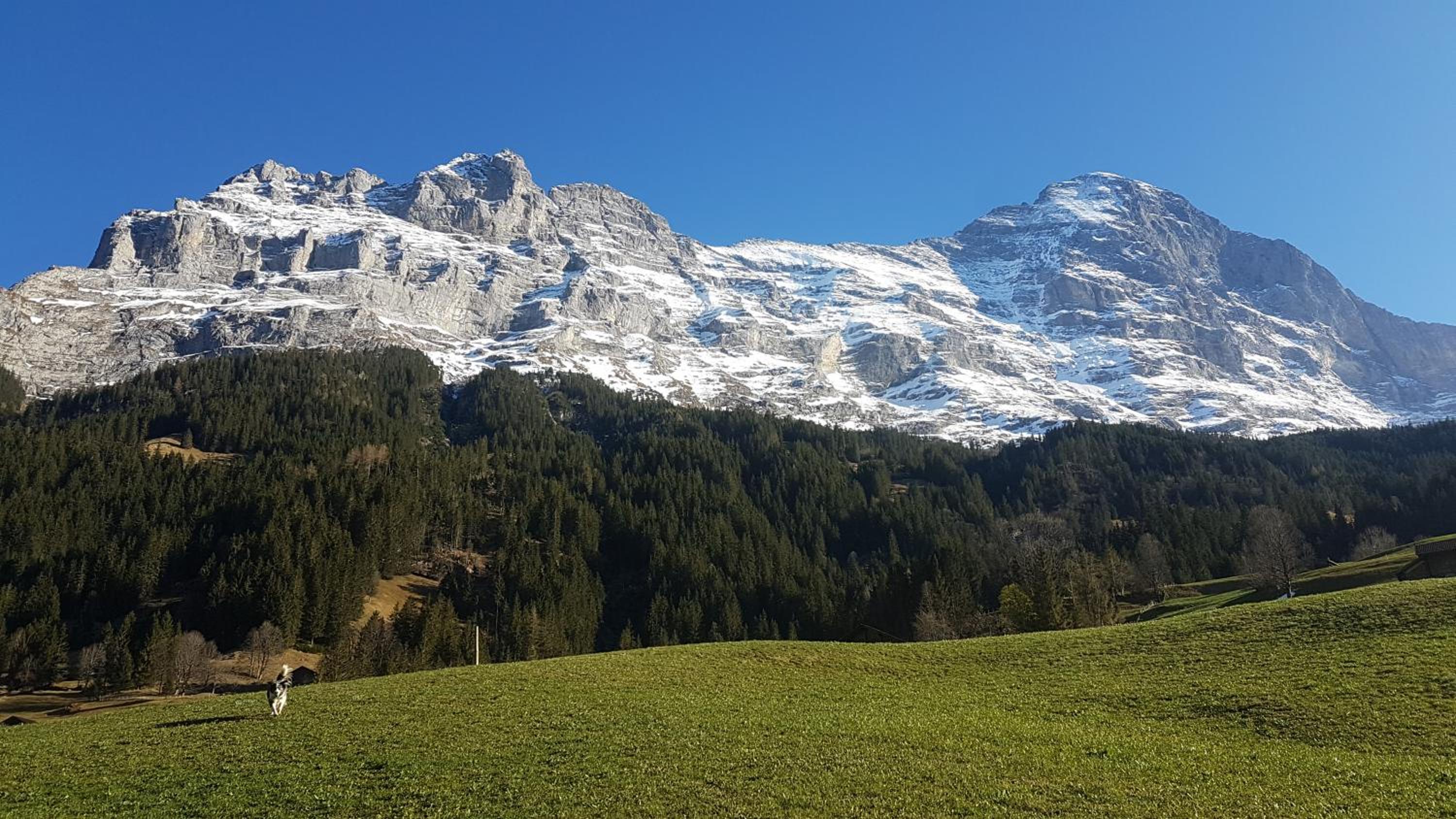 Chalet bei der Arve