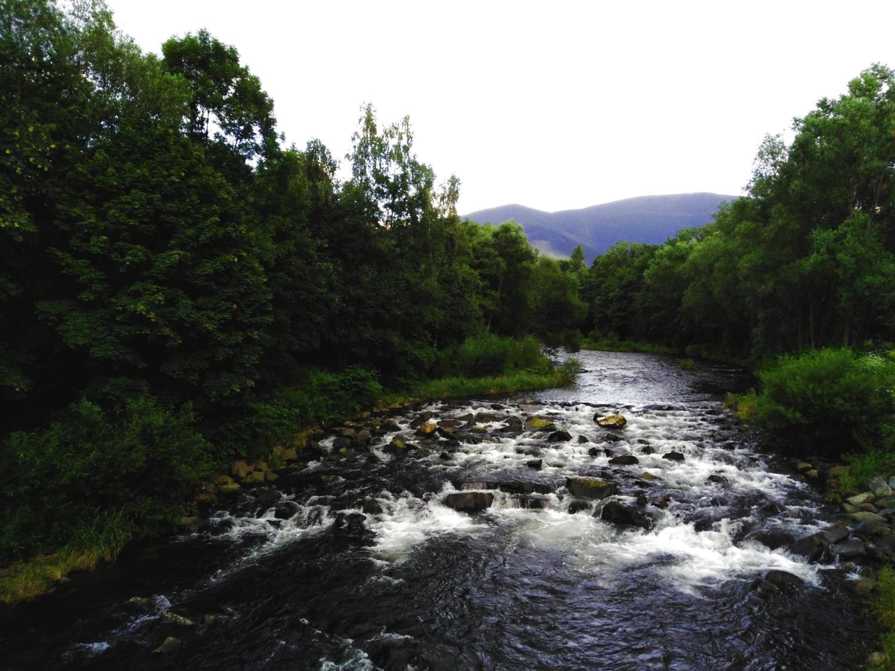 Photo 46