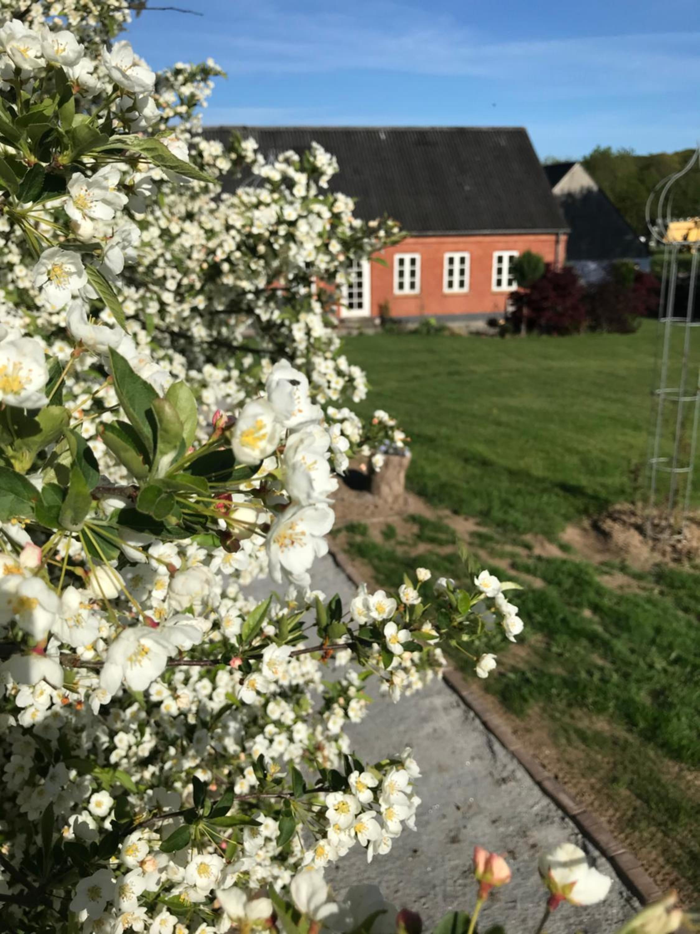 Brørup Kjærsgaard, Hygge, ro, natur og landliv view 3