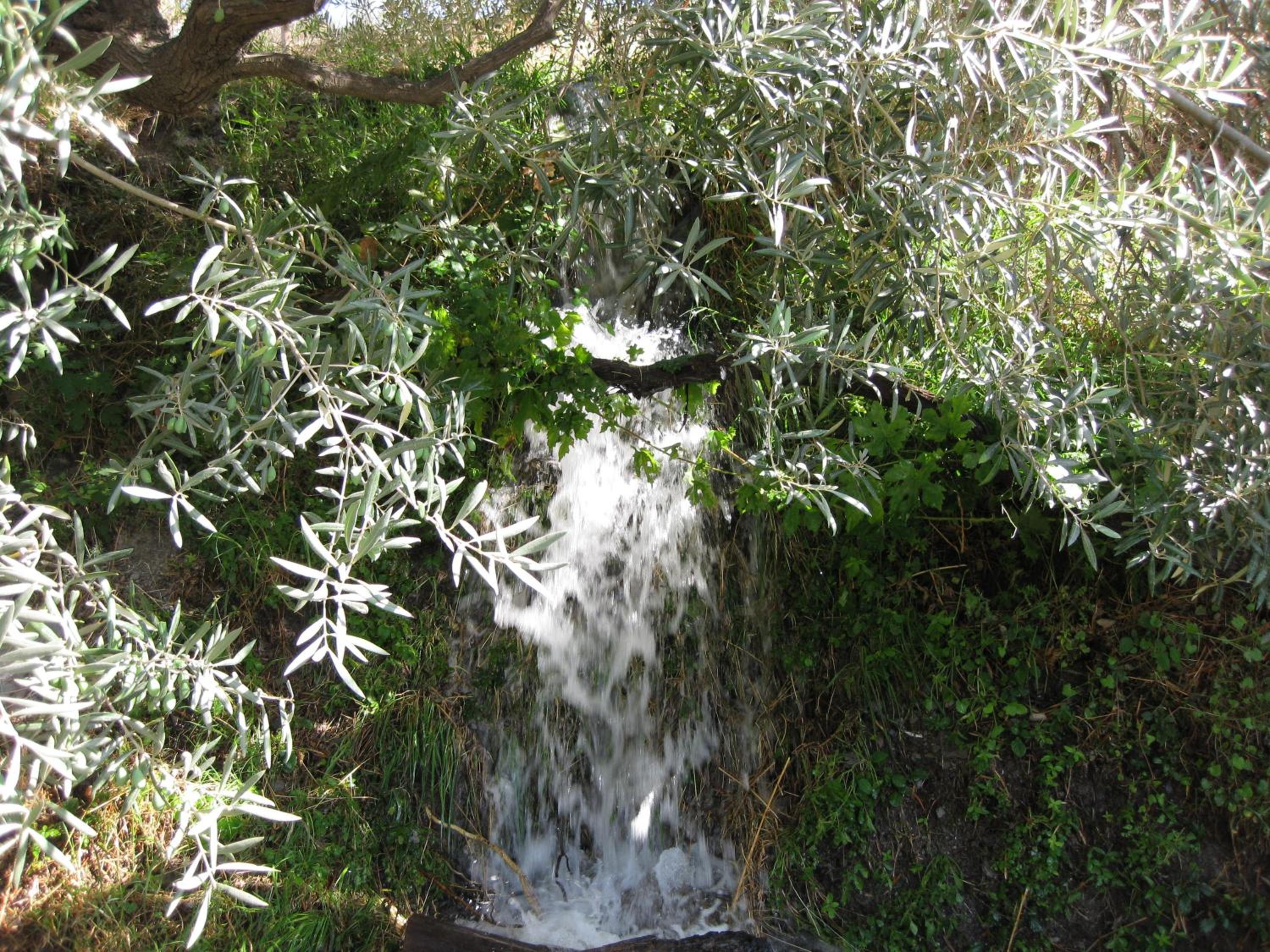 Photo 36