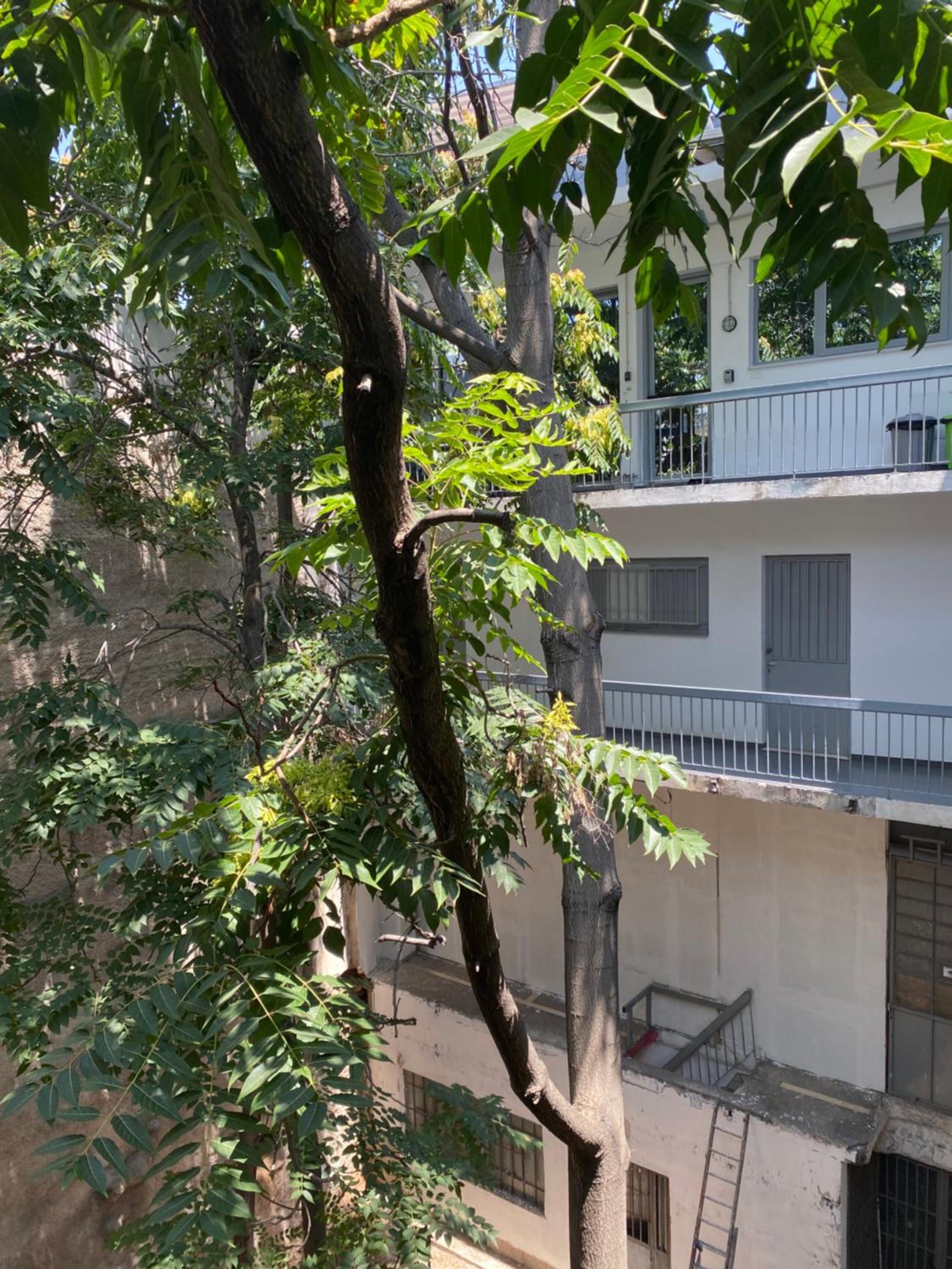 Monastiraki #WallsFree CityCenter- Unspoiled Athens Apartments