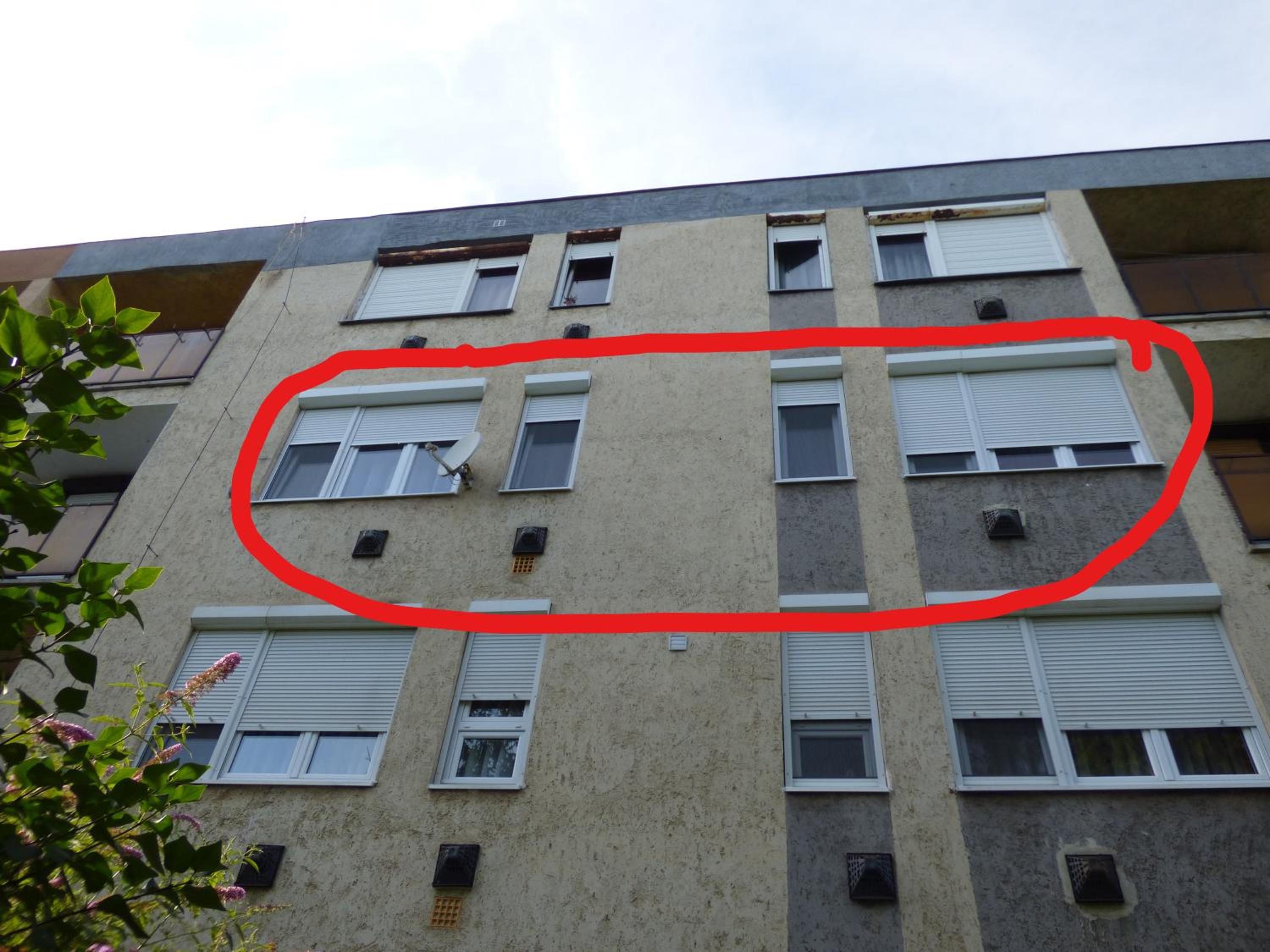 Bega Apartman view 5