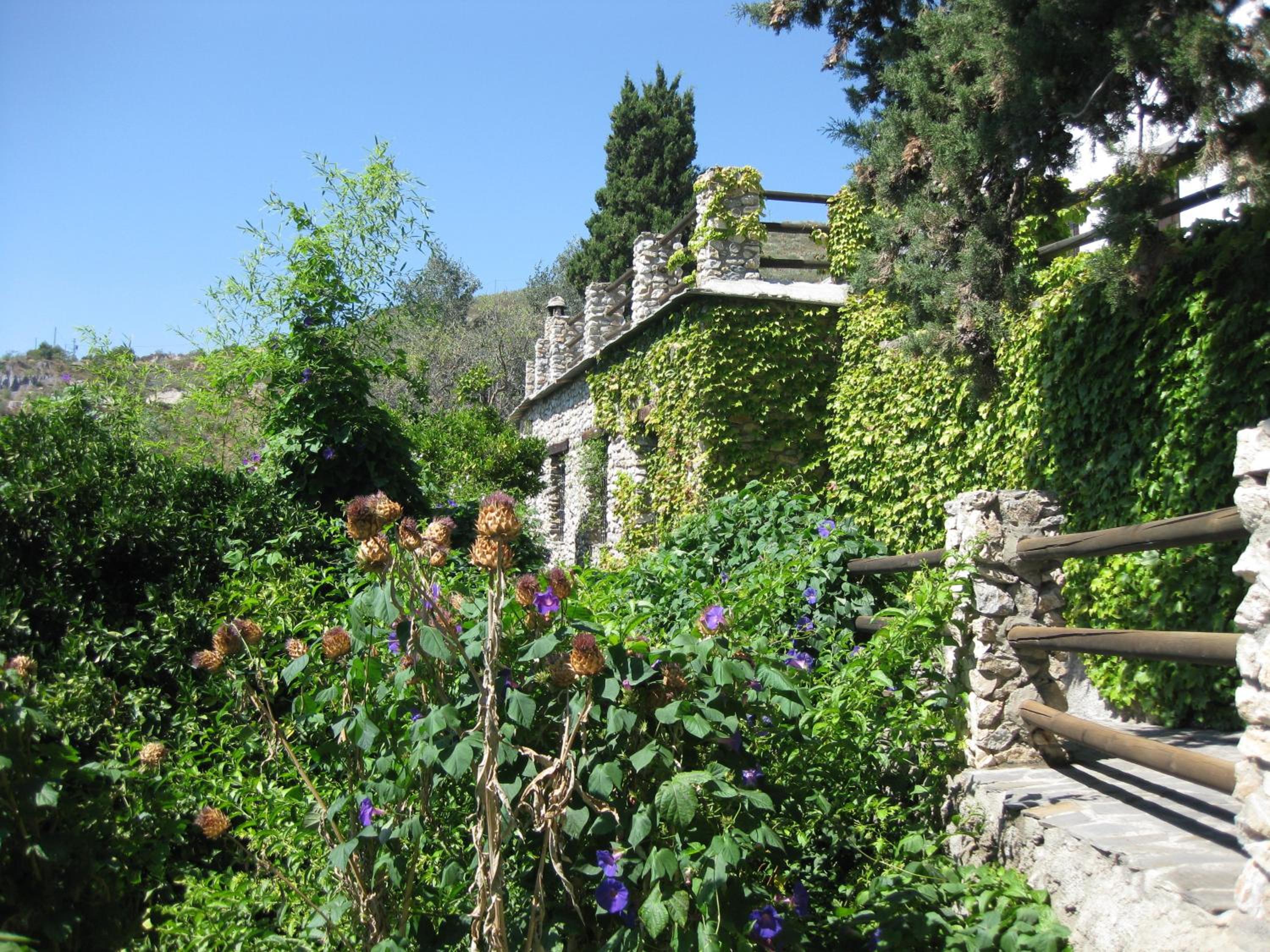 Photo 48