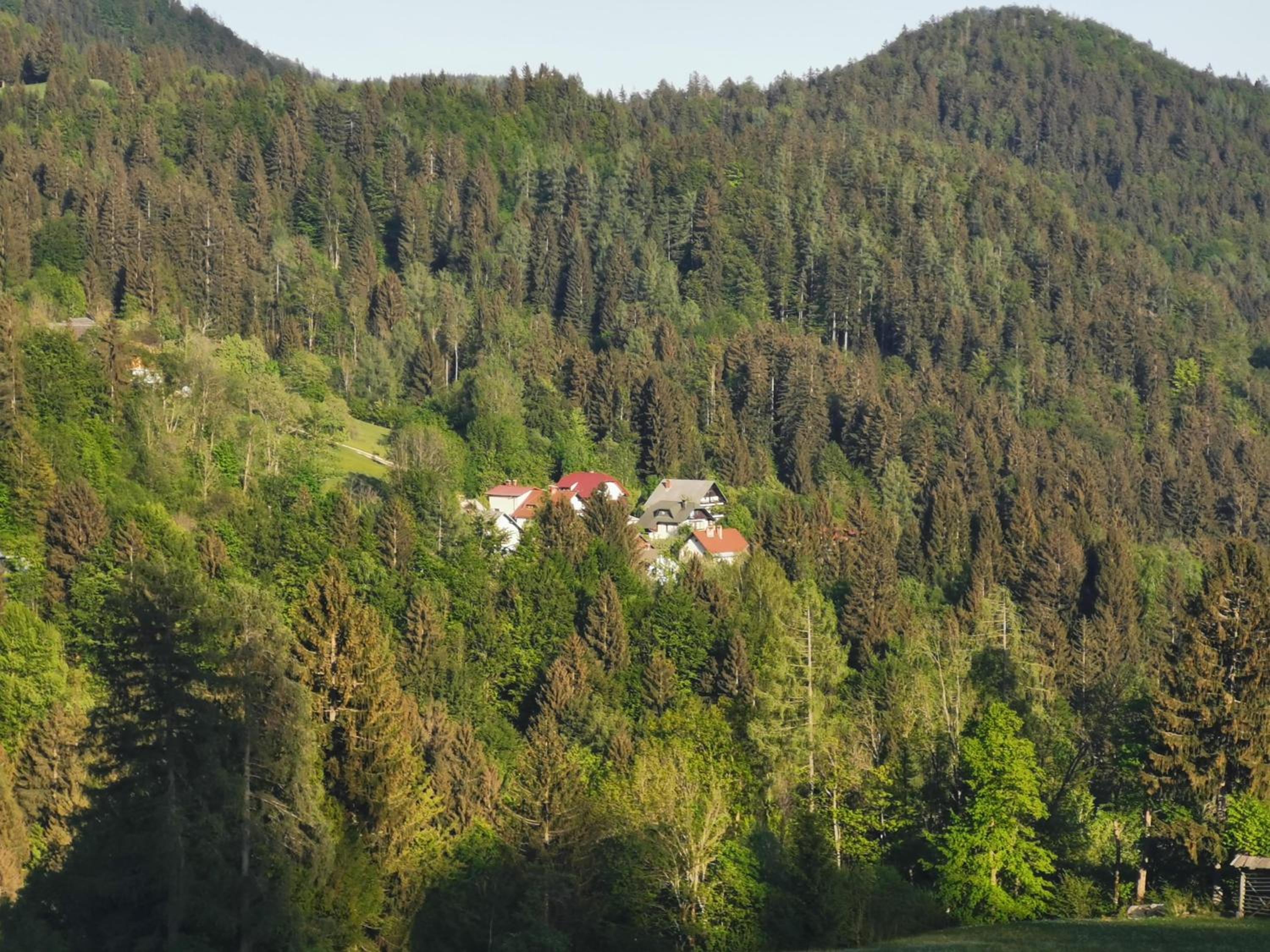 Photo 43