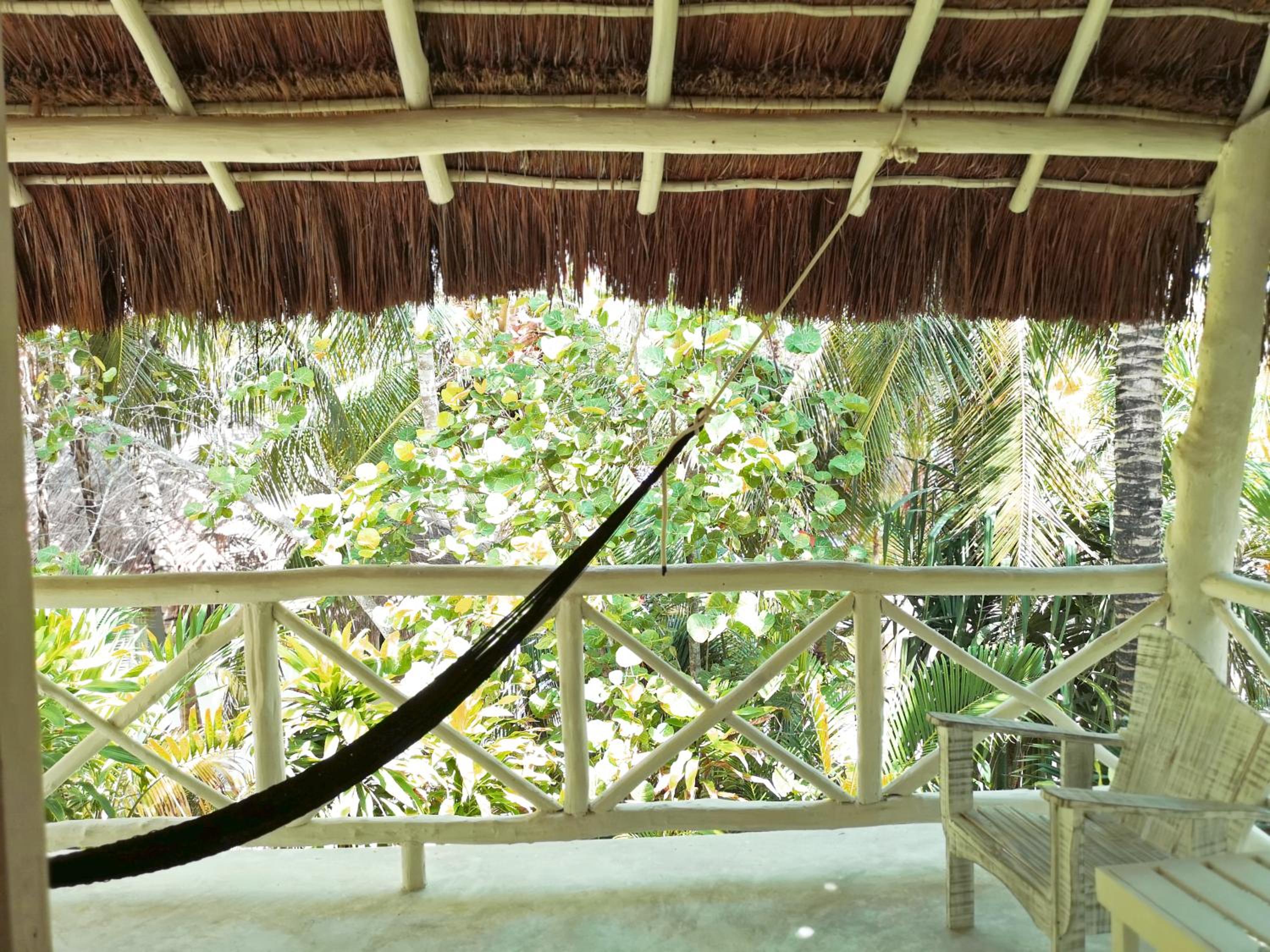 Coco Unlimited - Property Image 77