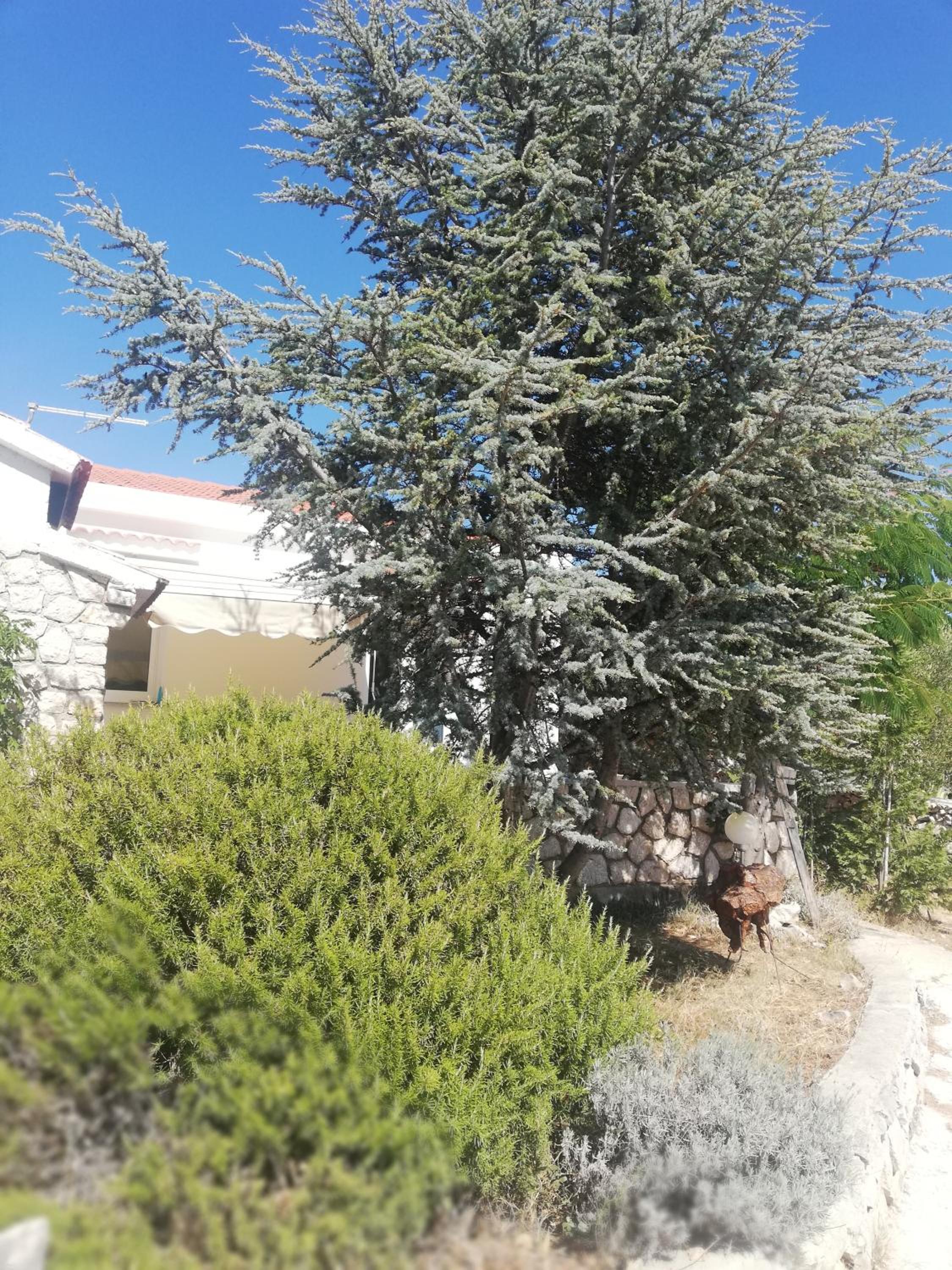 Photo 28