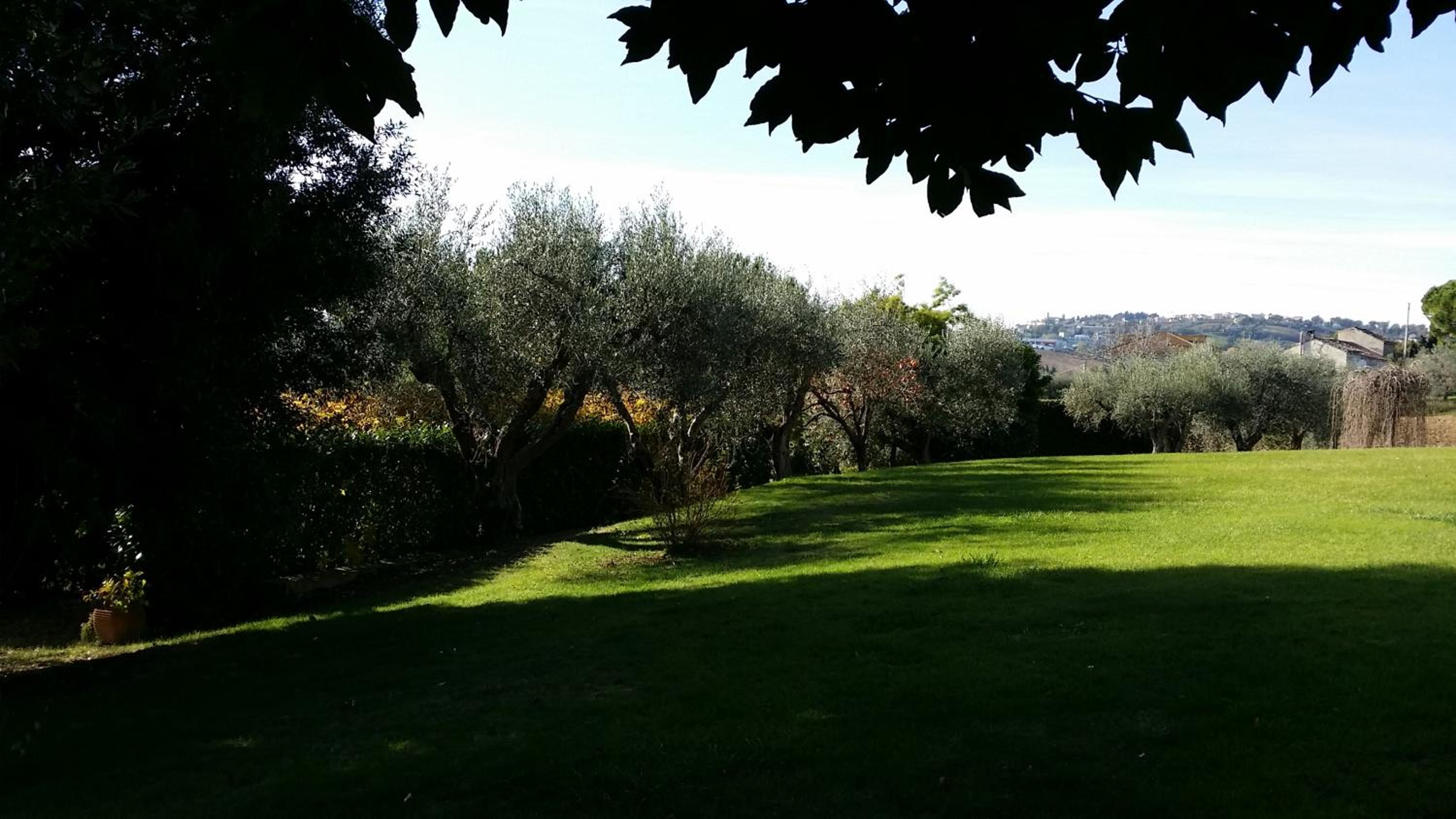 Photo 46
