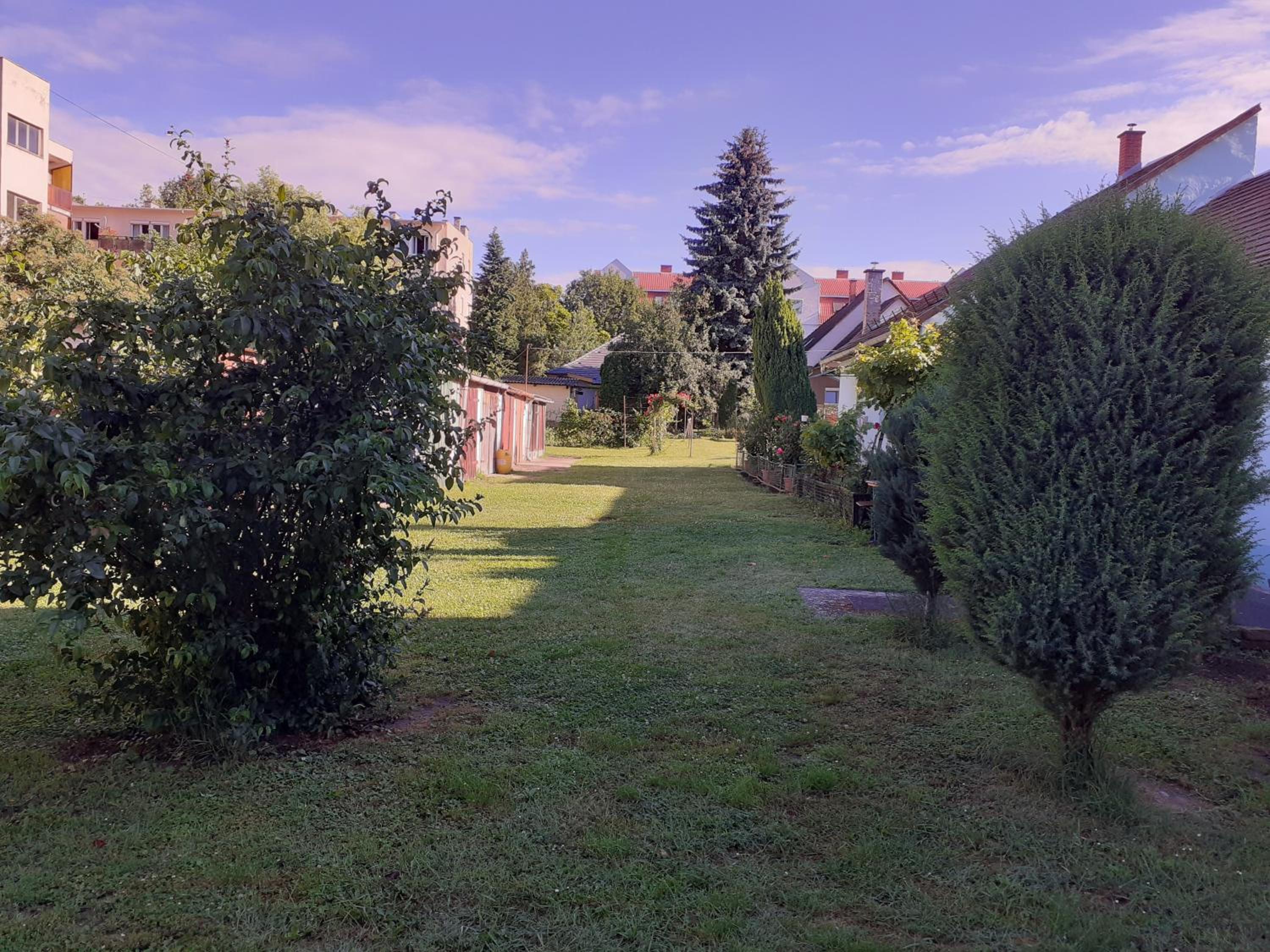Photo 31