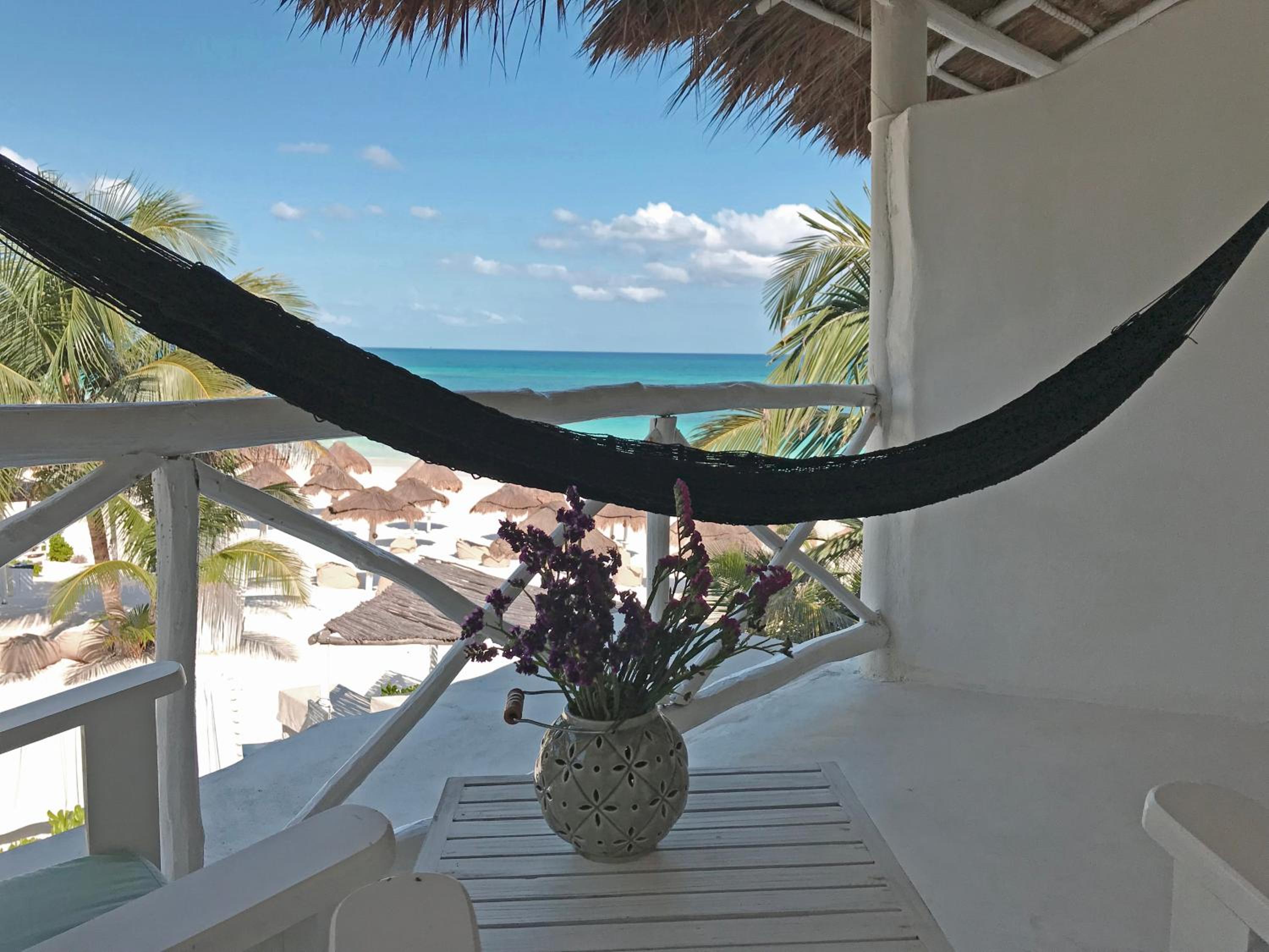 Coco Unlimited - Property Image 71