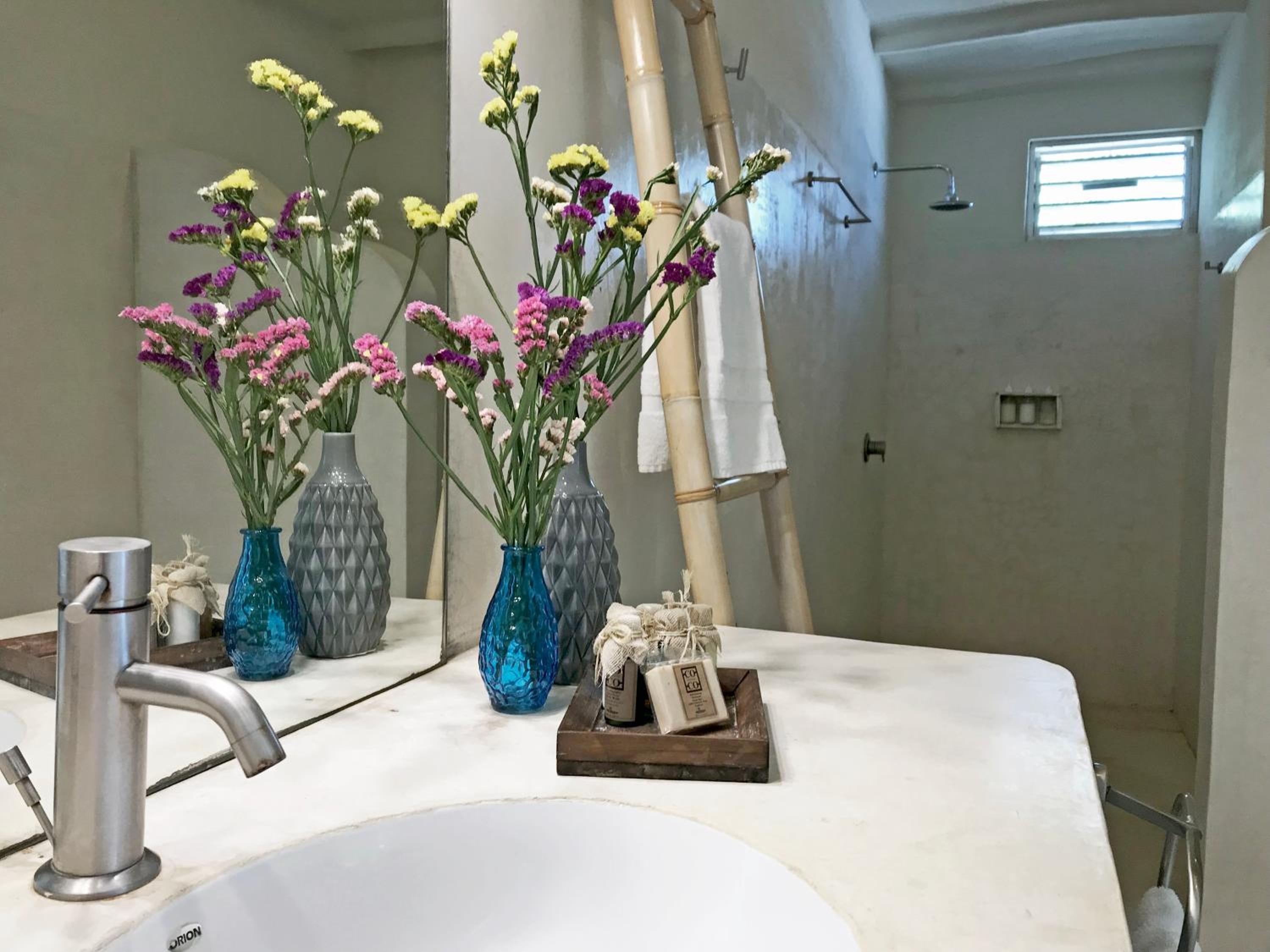 Coco Unlimited - Property Image 66