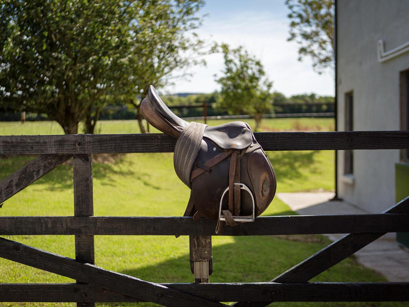 Waterford Vacations - Coolcormack Stud BB - Property Image 7