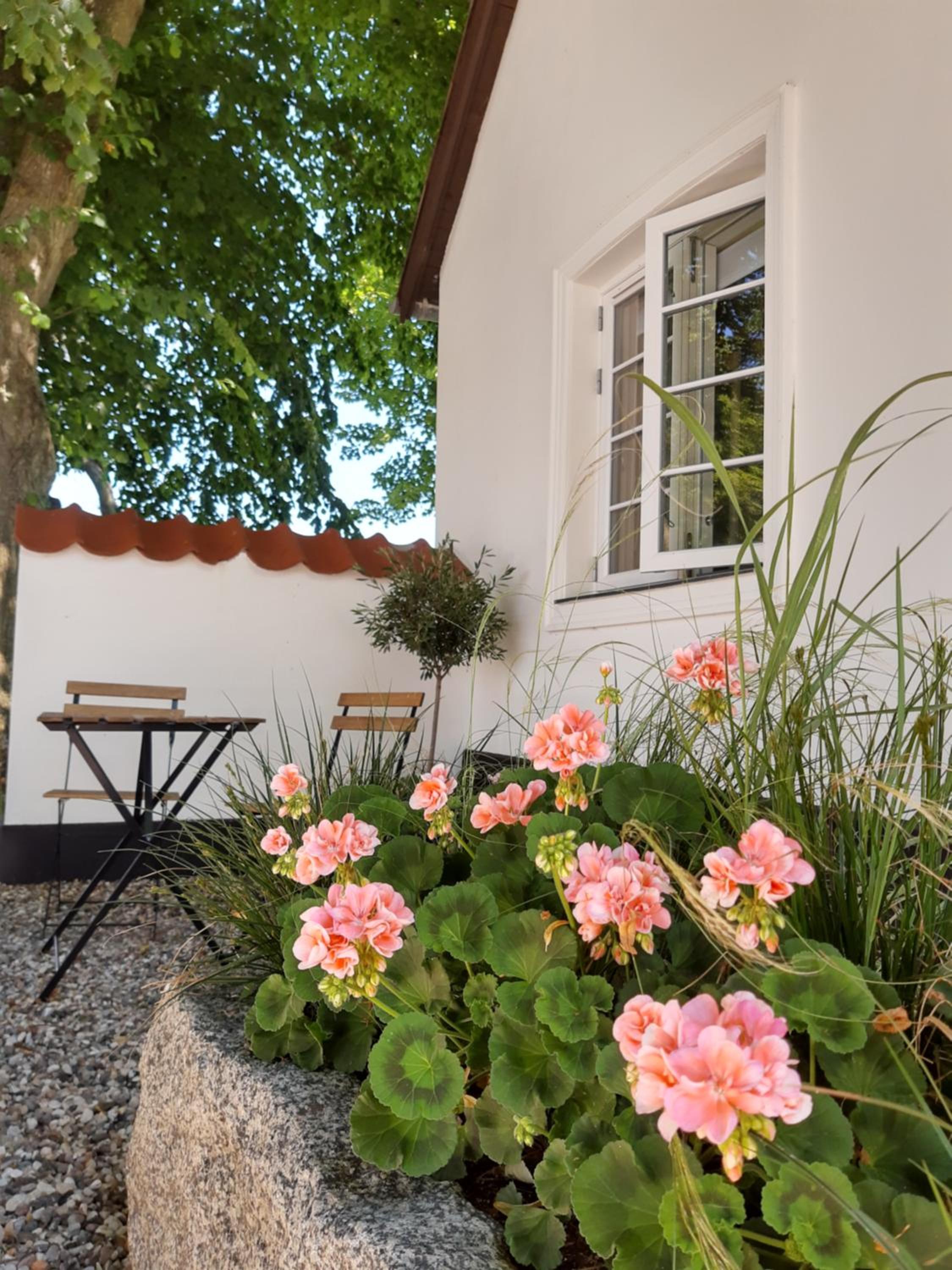 Apartment in Danmark- Agernaesgaard Otterup view 3
