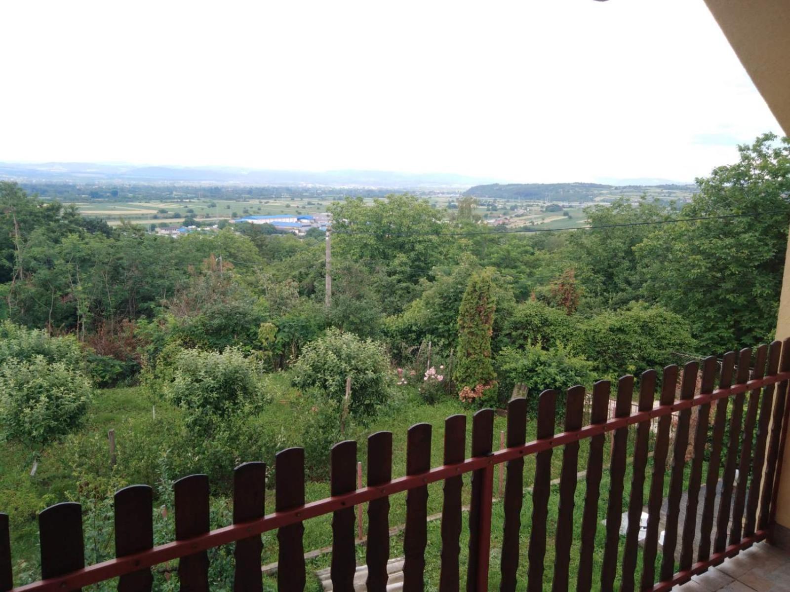 Dedinje view 2