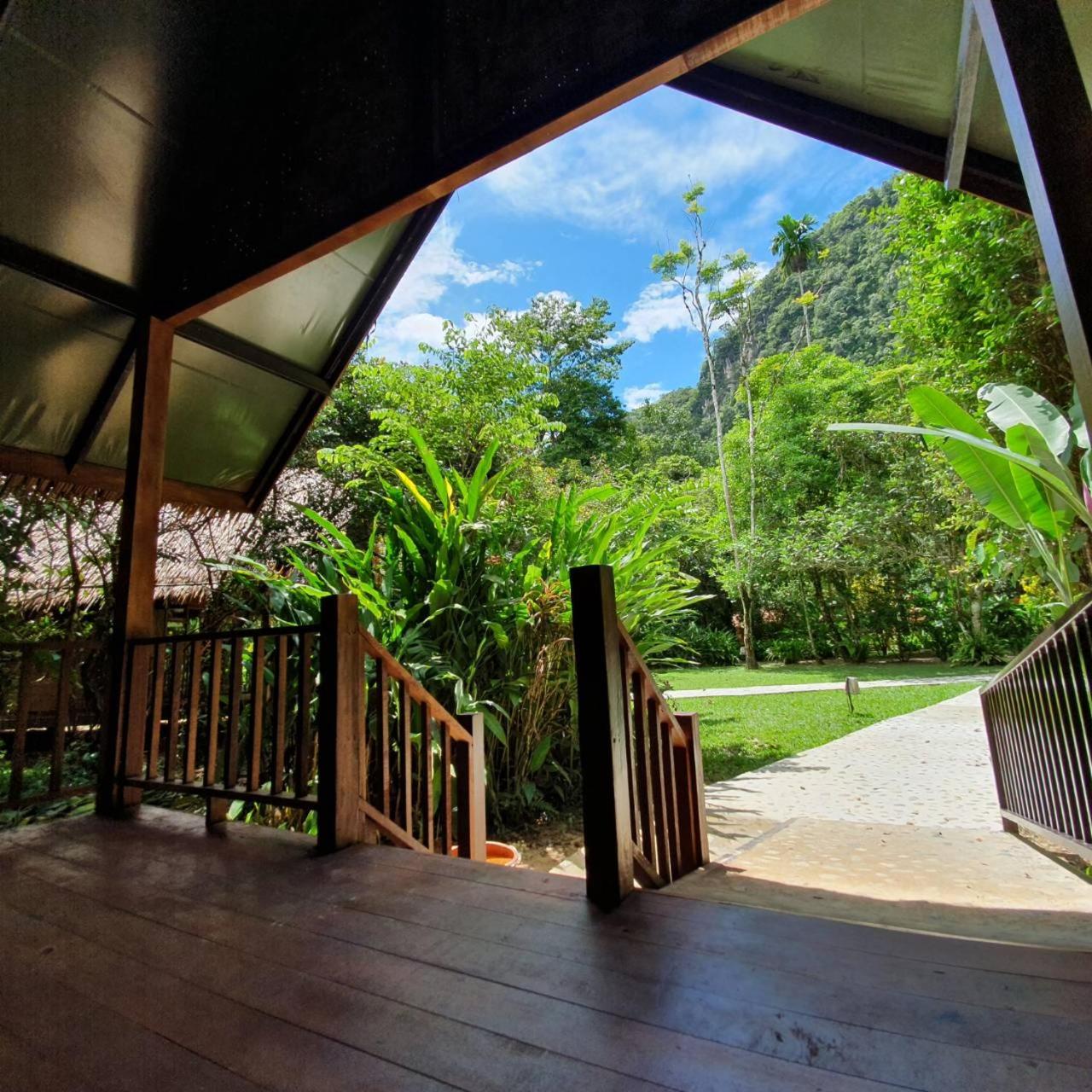 Our Jungle House