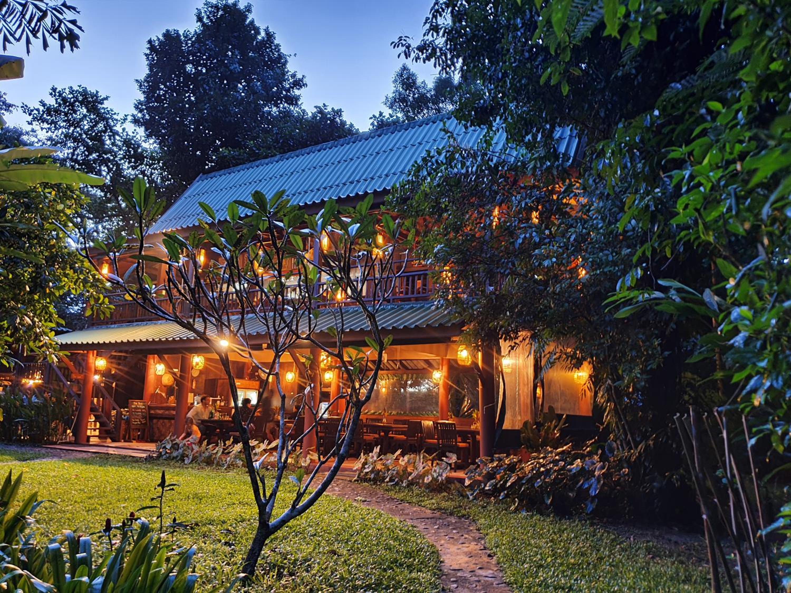 Our Jungle House