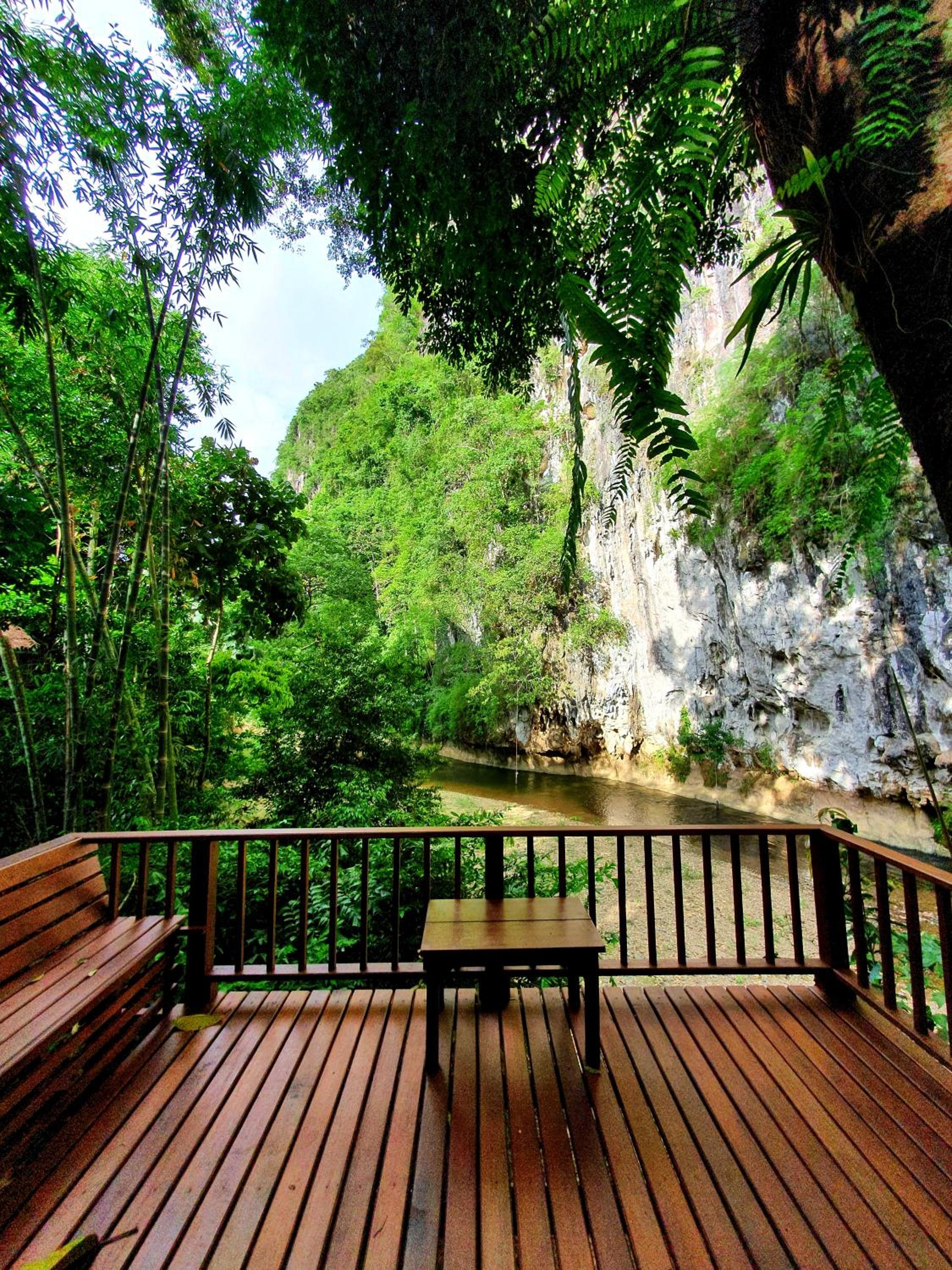 Our Jungle House