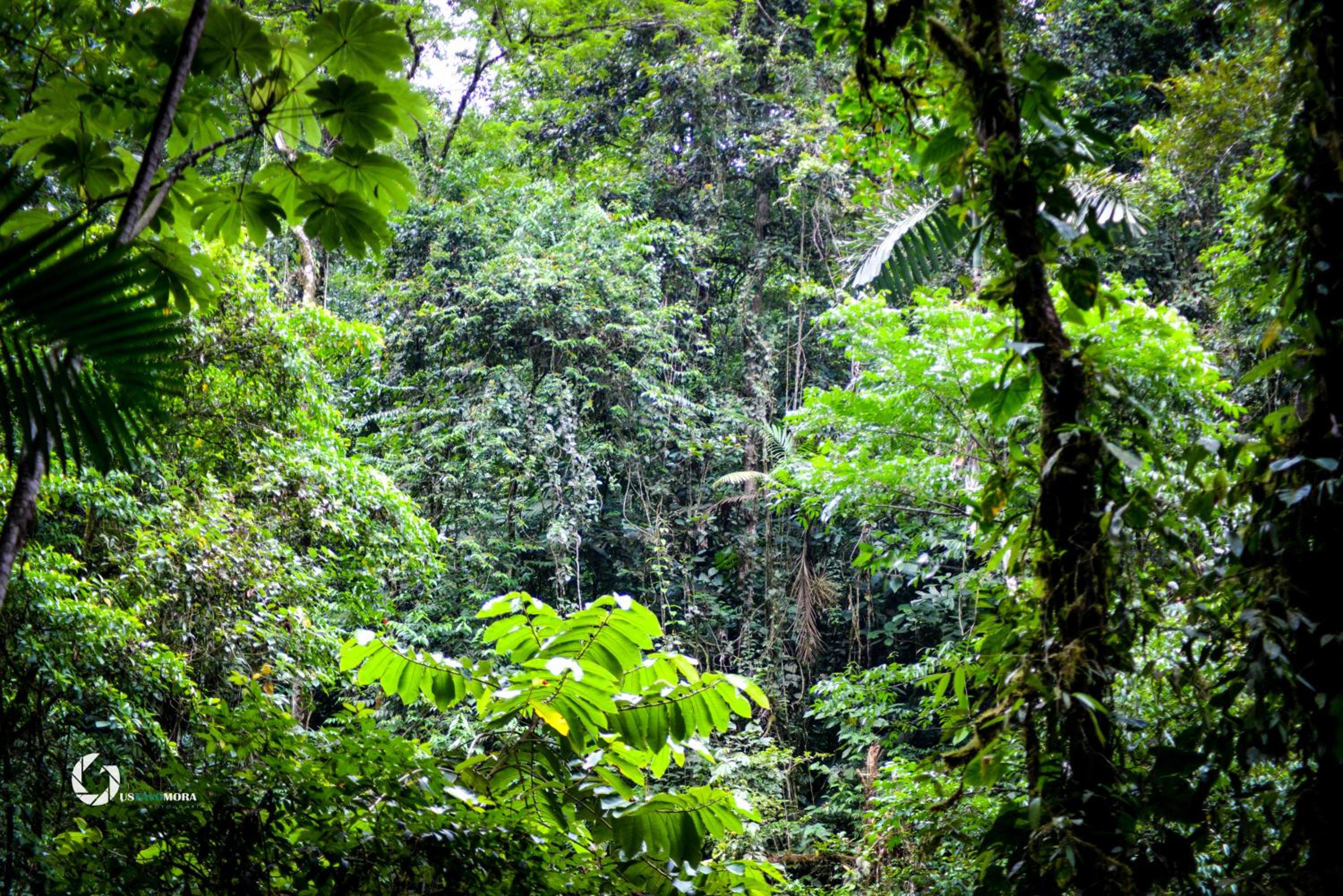 Princesa de la Luna EcoLodge 100