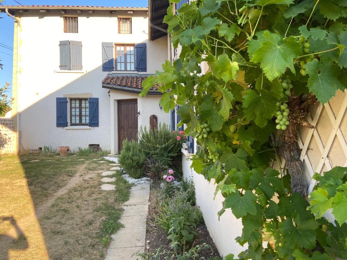 Photo 46
