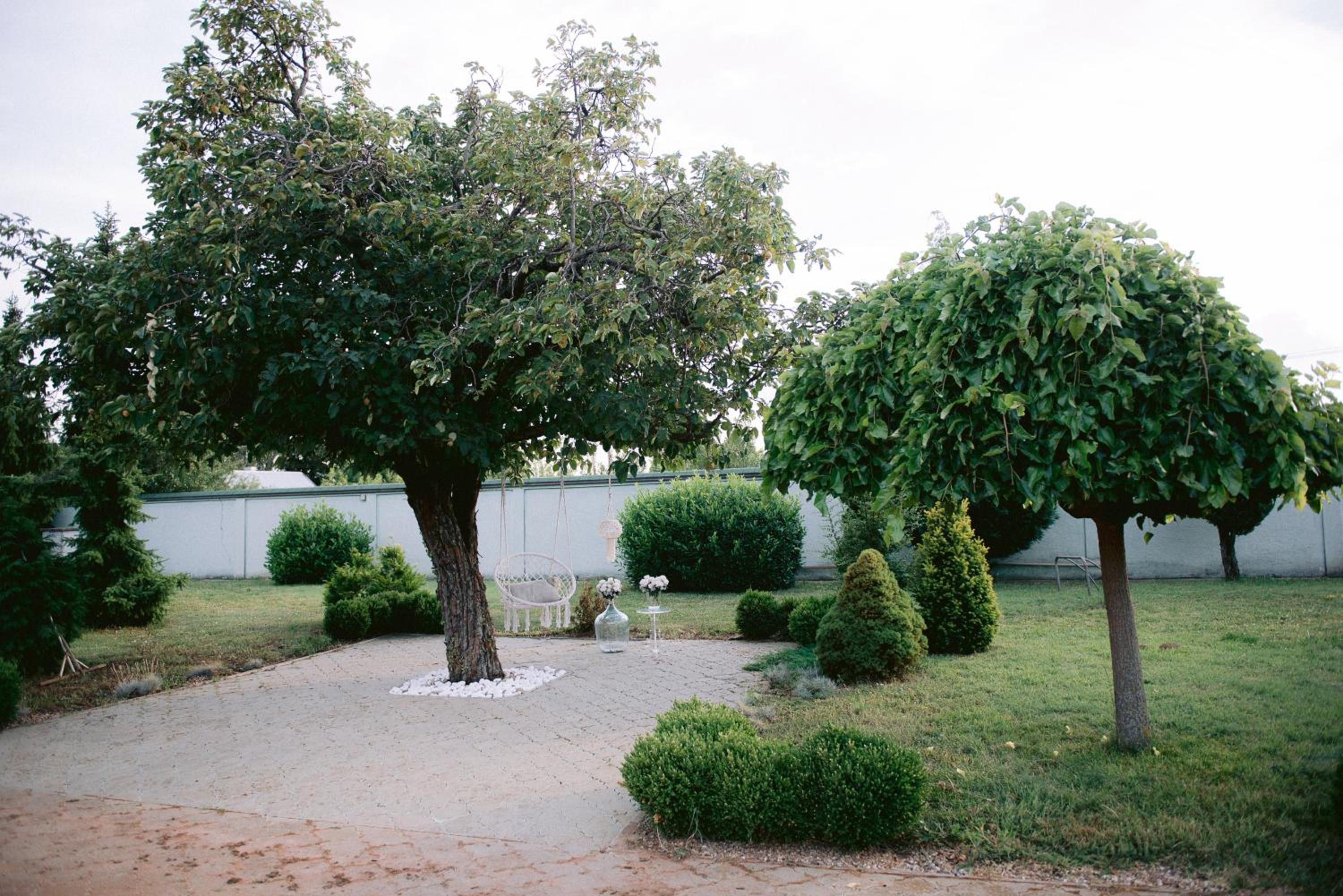 Photo 45