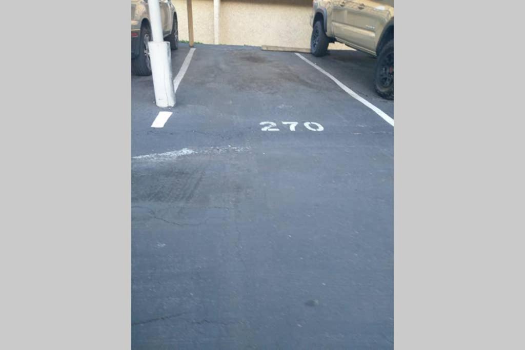 Photo 49