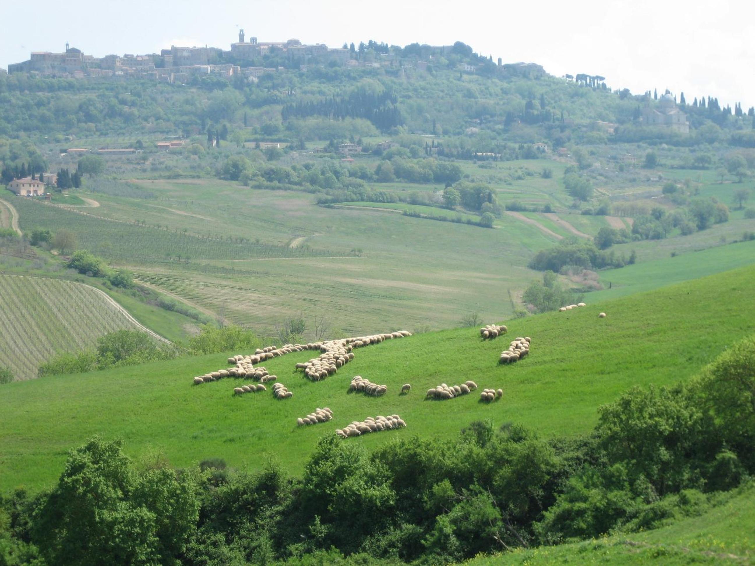 Agriturismo La Creta