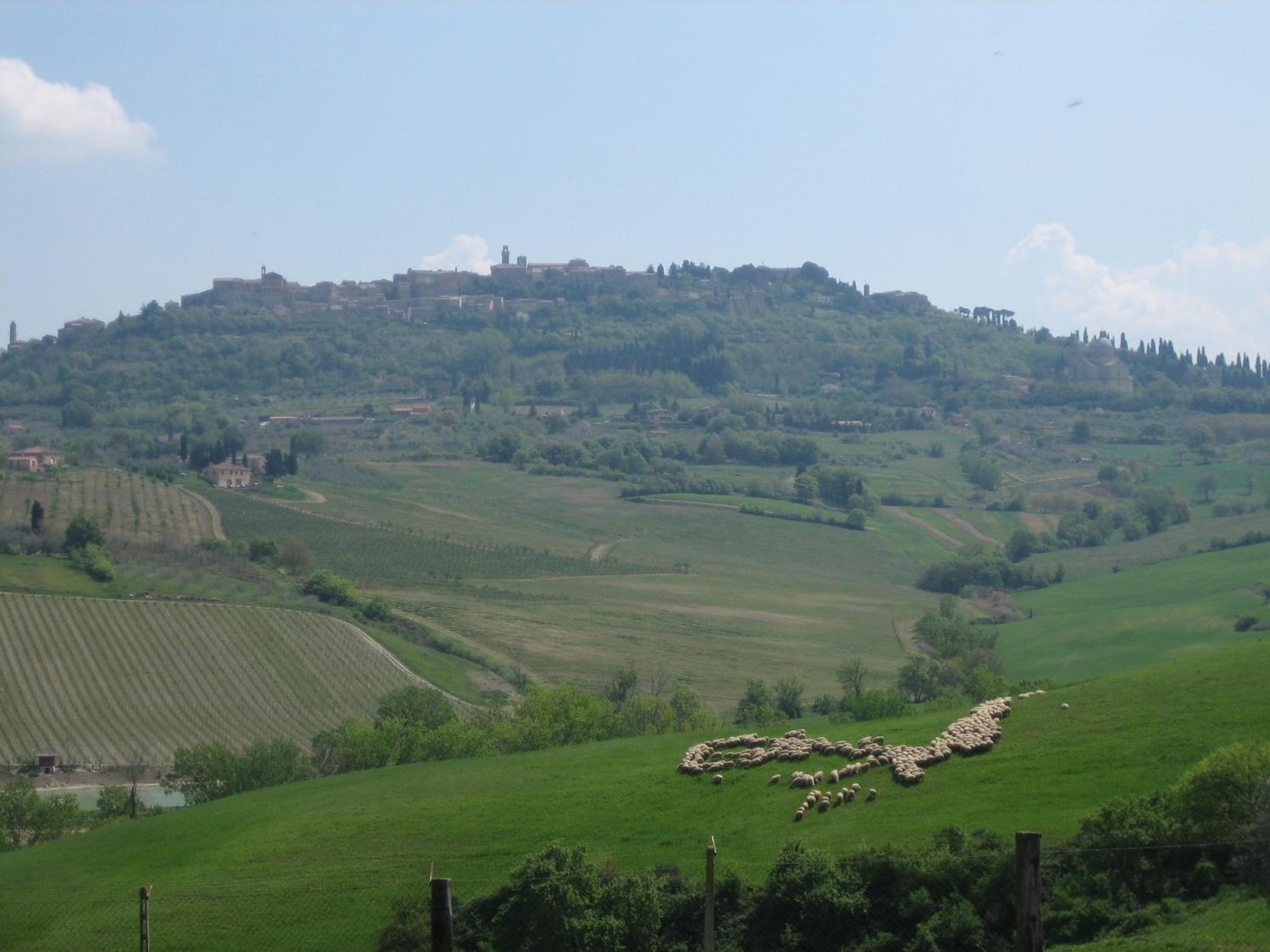 Agriturismo La Creta