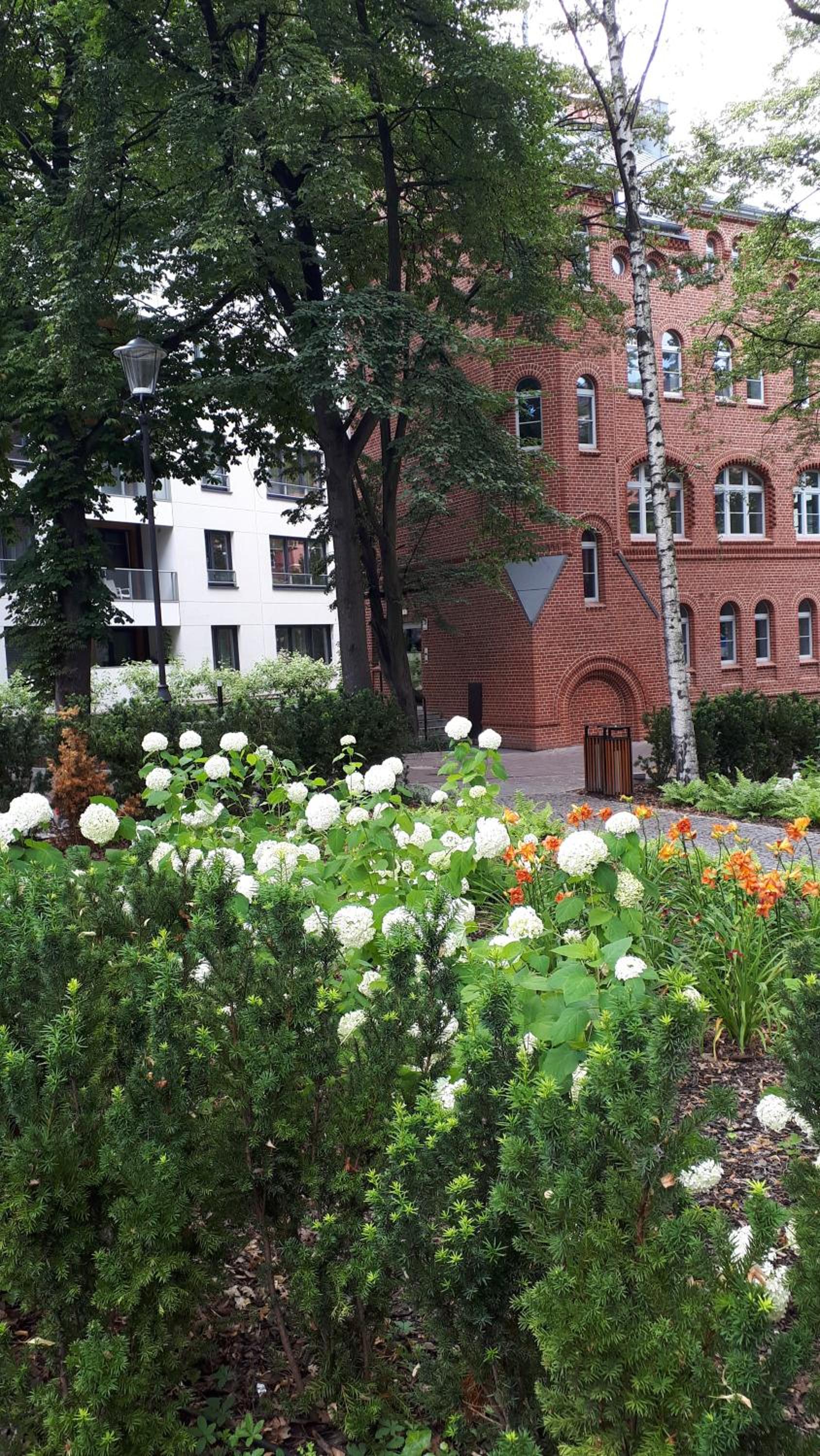 Photo 6