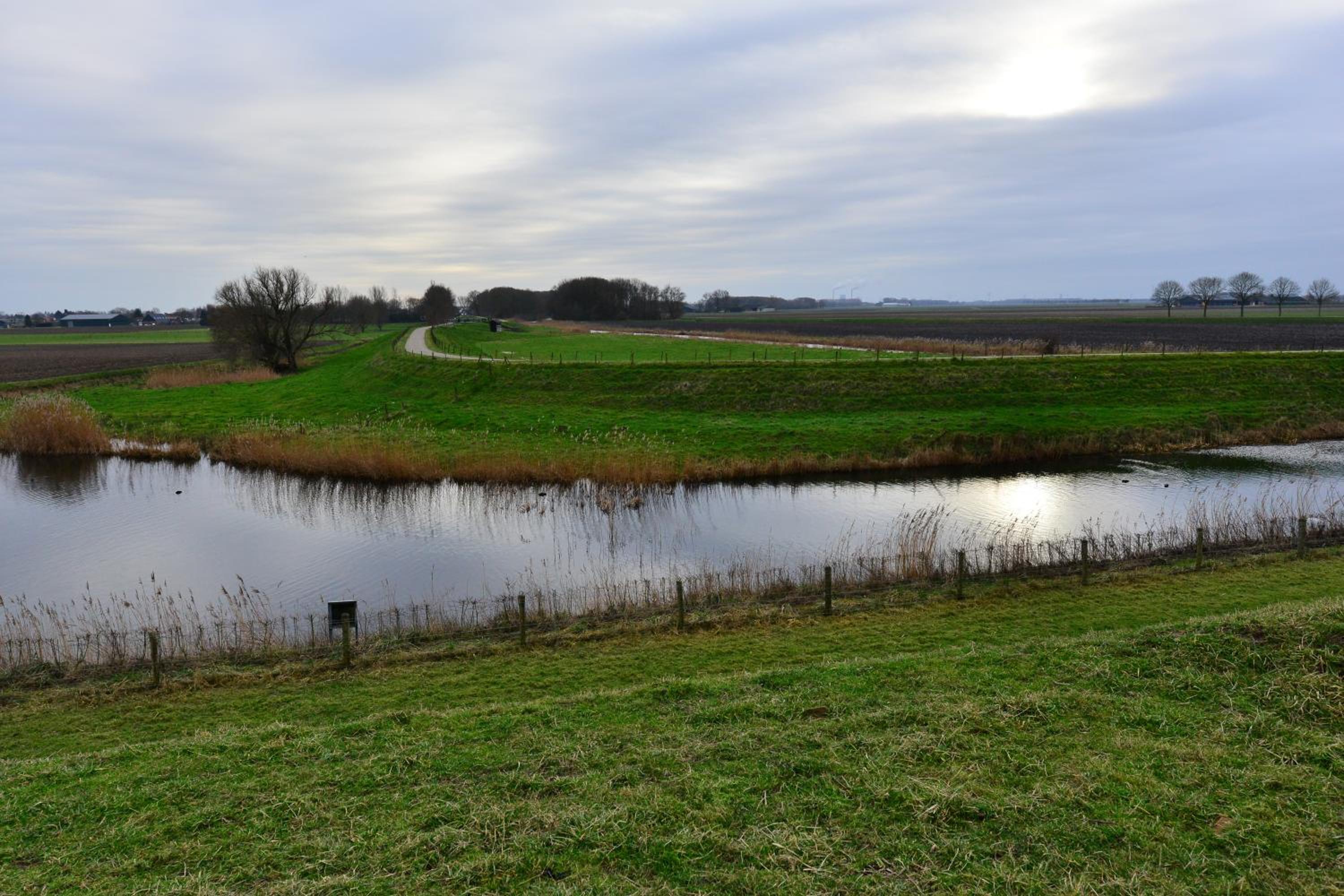 Photo 43