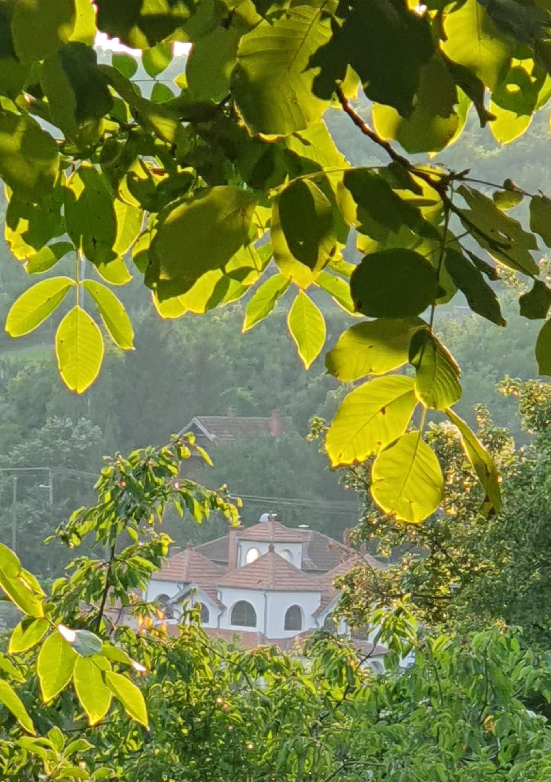 Knez Apartmani view 4