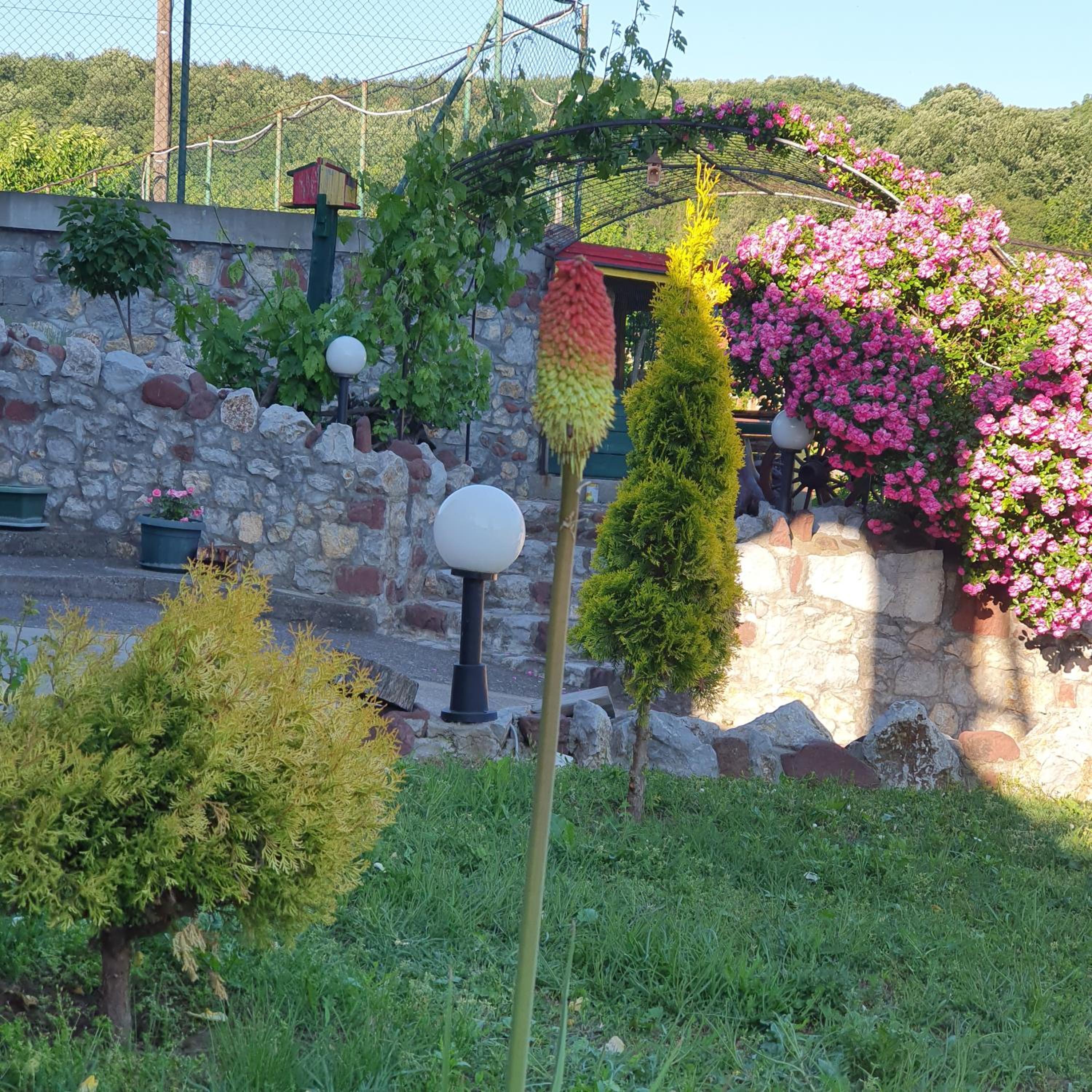 Photo 11