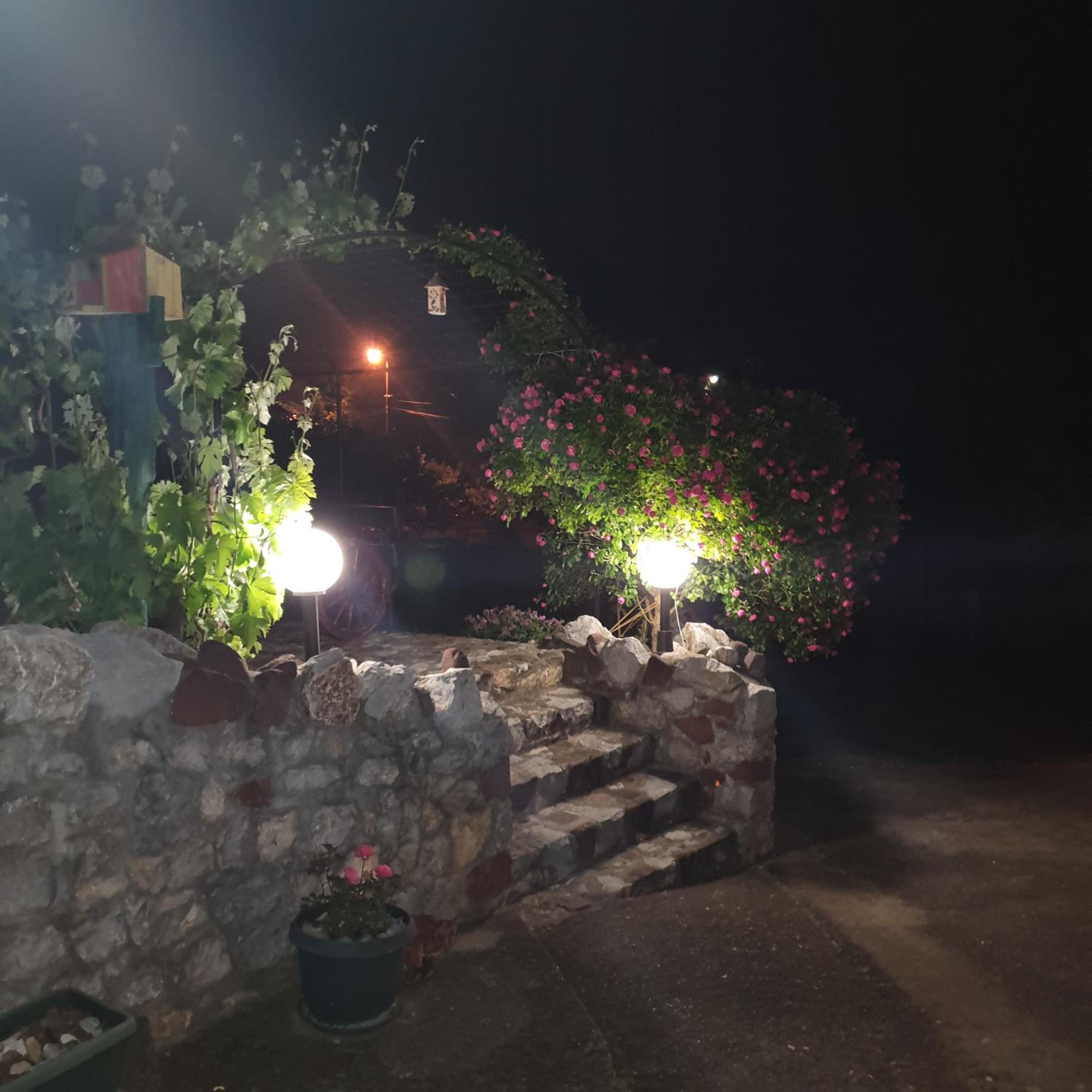 Photo 34