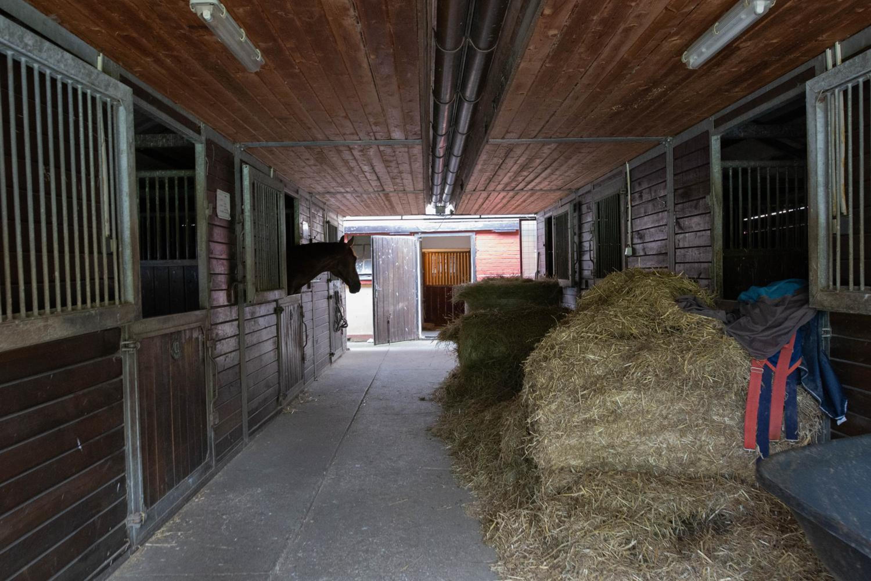 Penzion Štekrův Mlýn