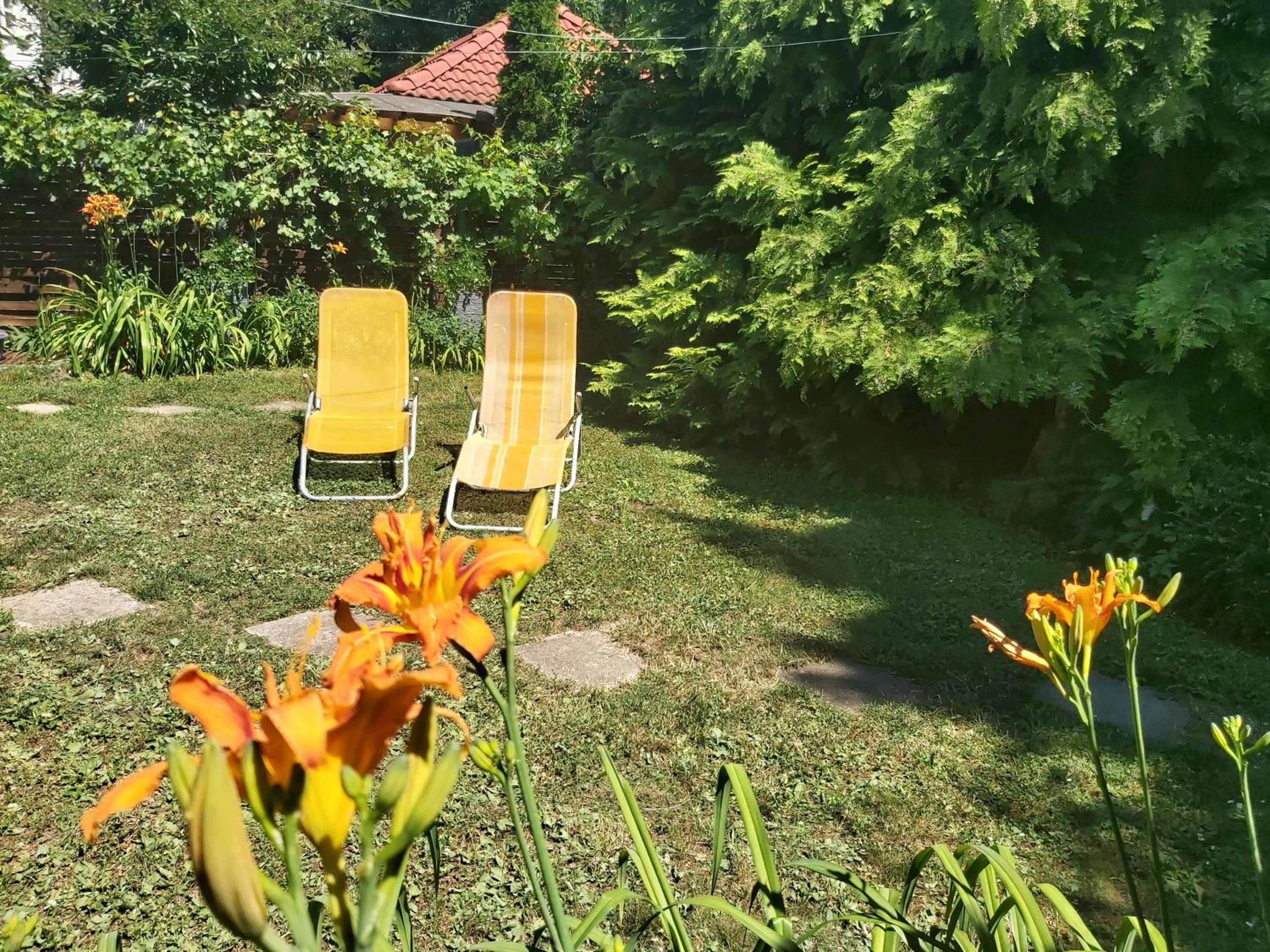 NewMidi Studio terrace, wifi view 5