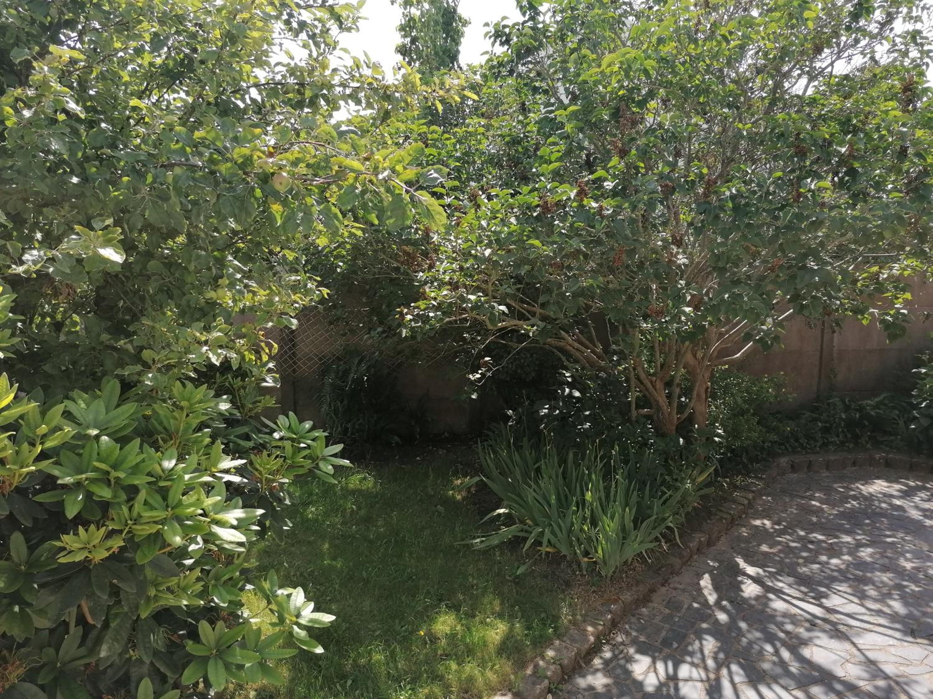 Concept Appart'Hôtel Lannion - Côte de Granit Rose, photo 36