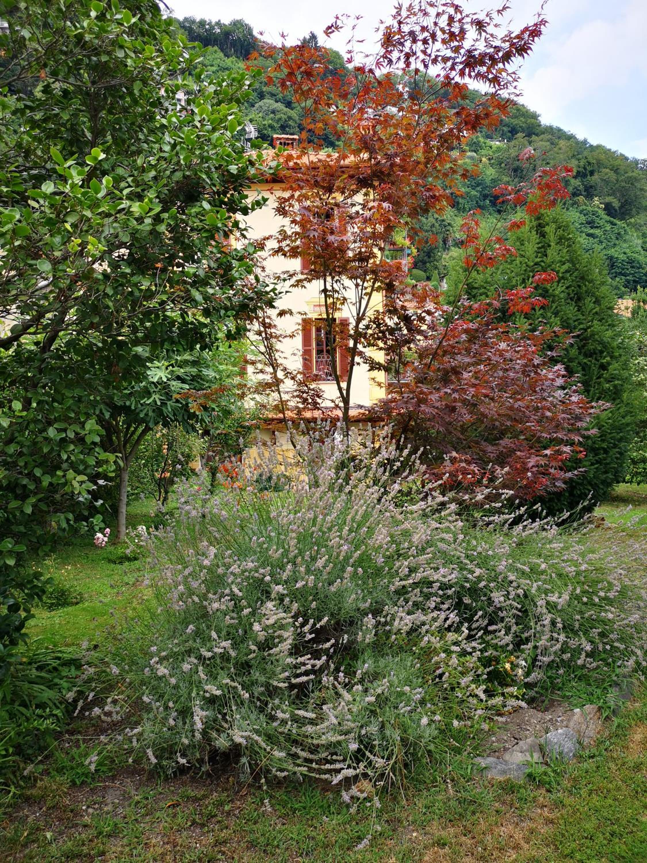 All'Antico Convento view 2