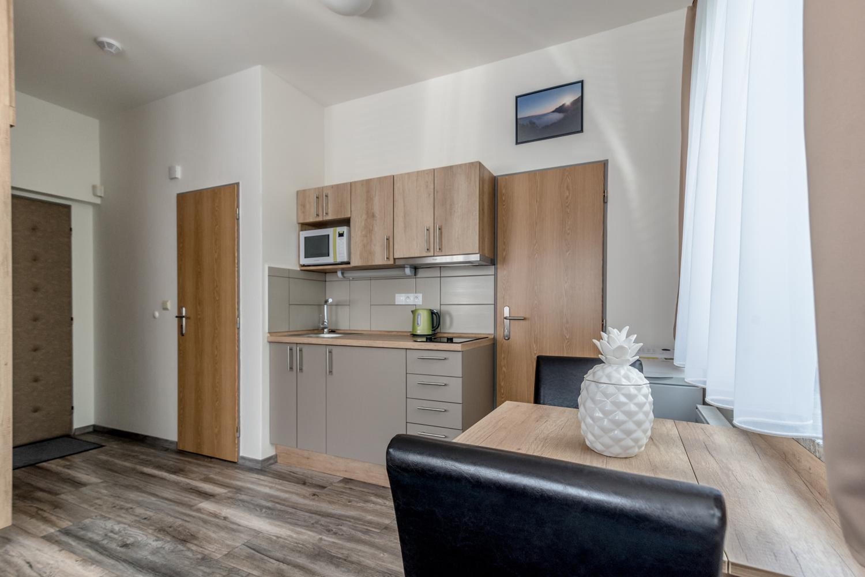Modern fully equipped studio with parking Zavadilka 2620