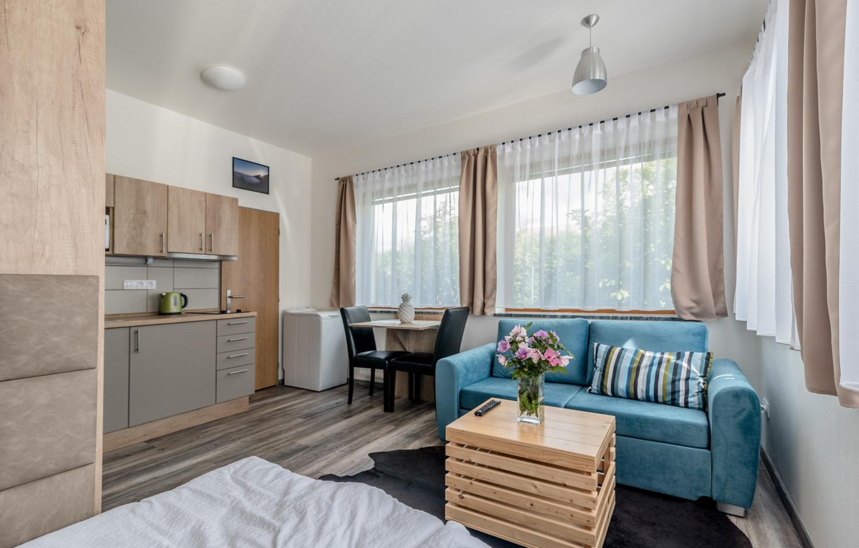 Modern fully equipped studio with parking Zavadilka 2620