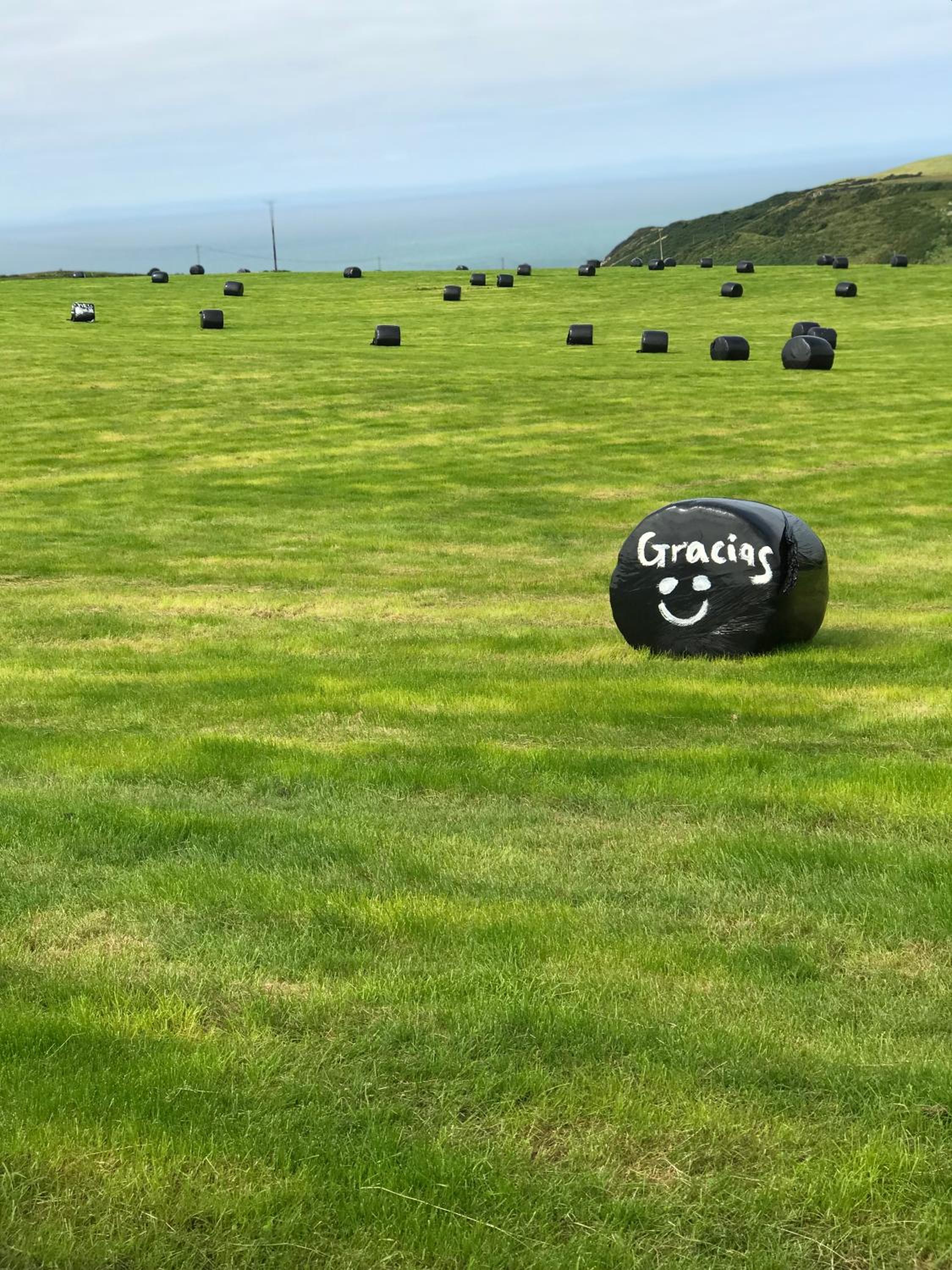 Ardbeg 4 - Farm Stay with Sea Views across to Northern Ireland view 2