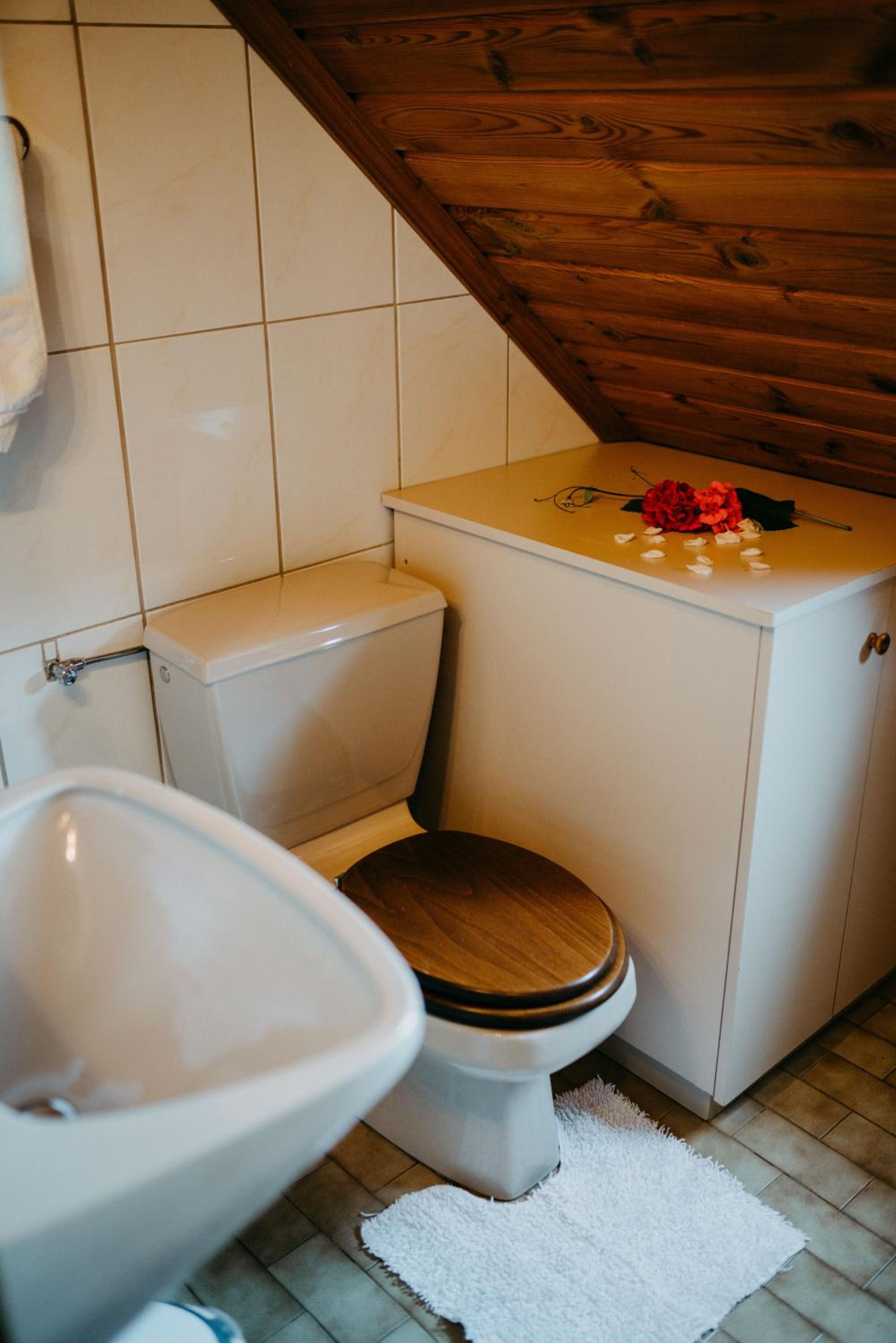 Ferienwohnung Vidmar